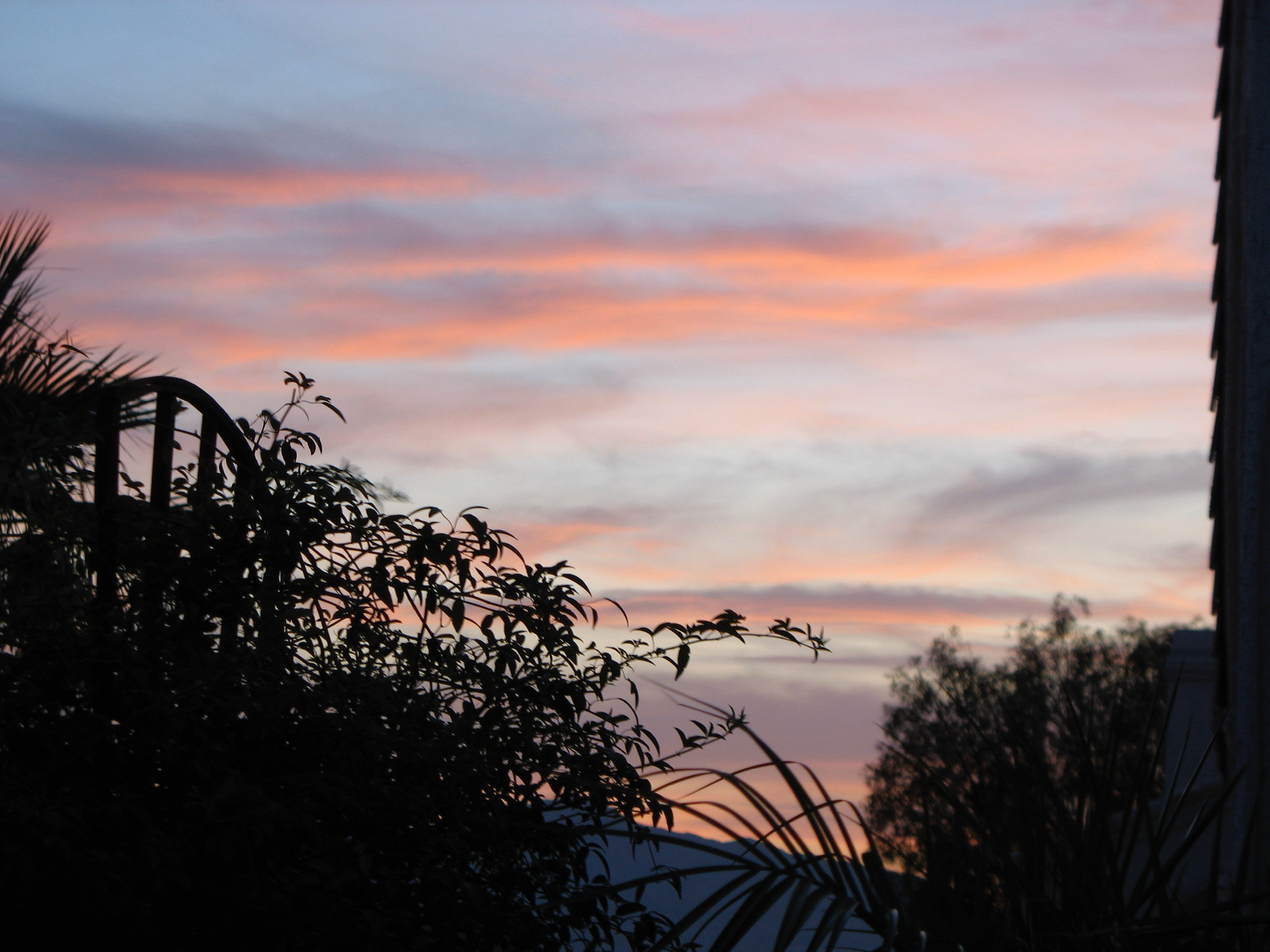 IMG_1233.jpeg