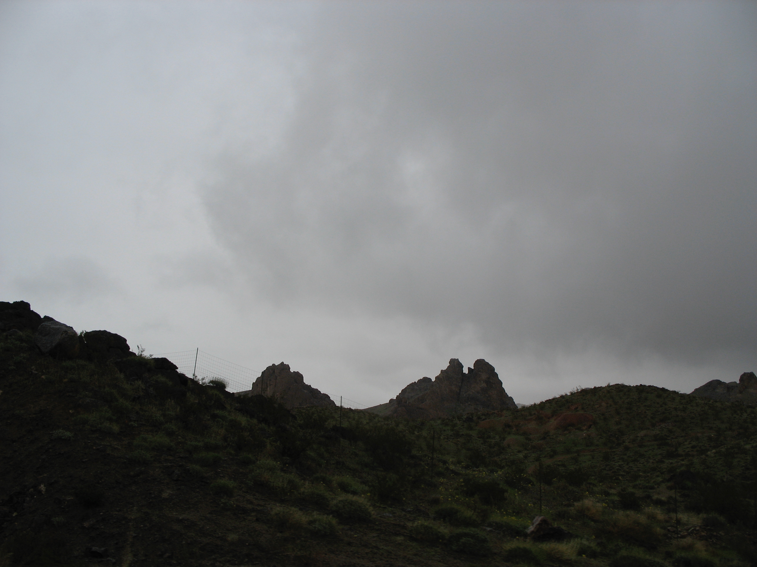 IMG_2534.jpeg