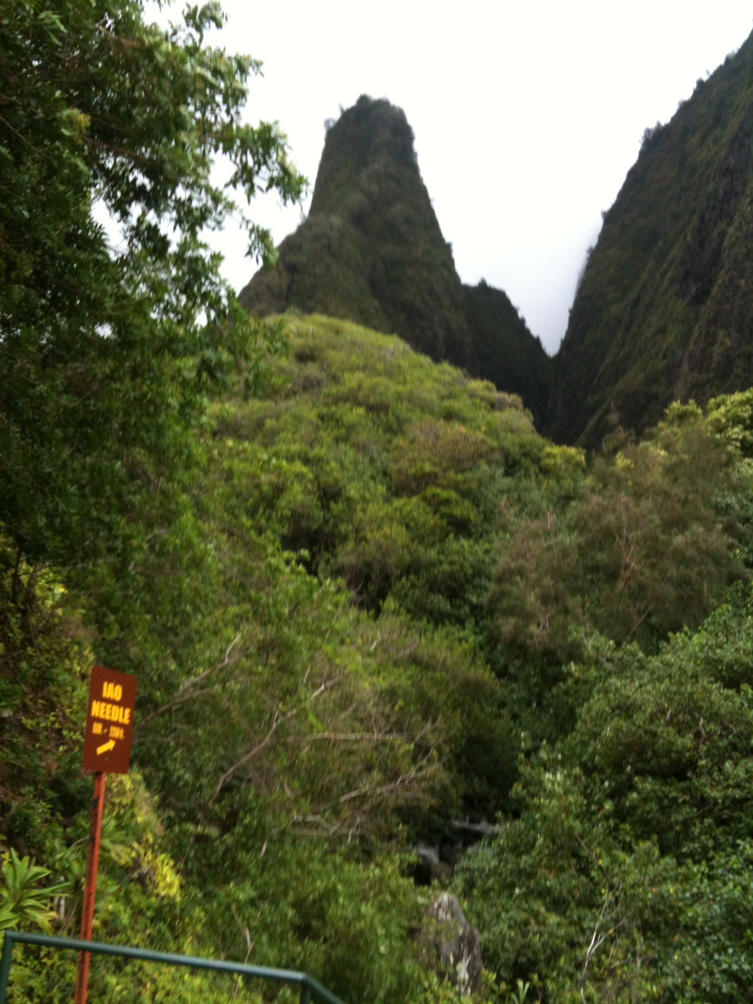 IMG_0034.jpeg