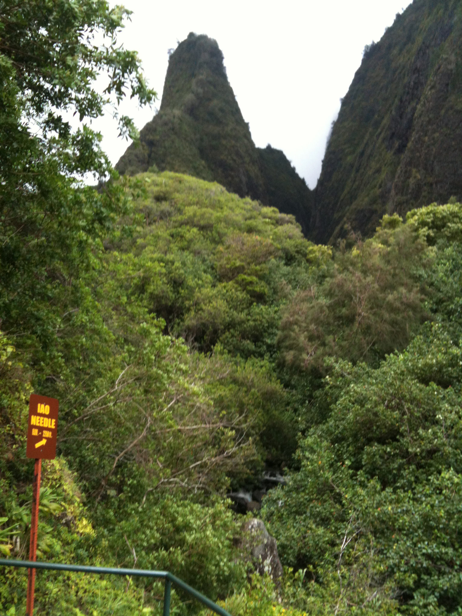 IMG_0035.jpeg