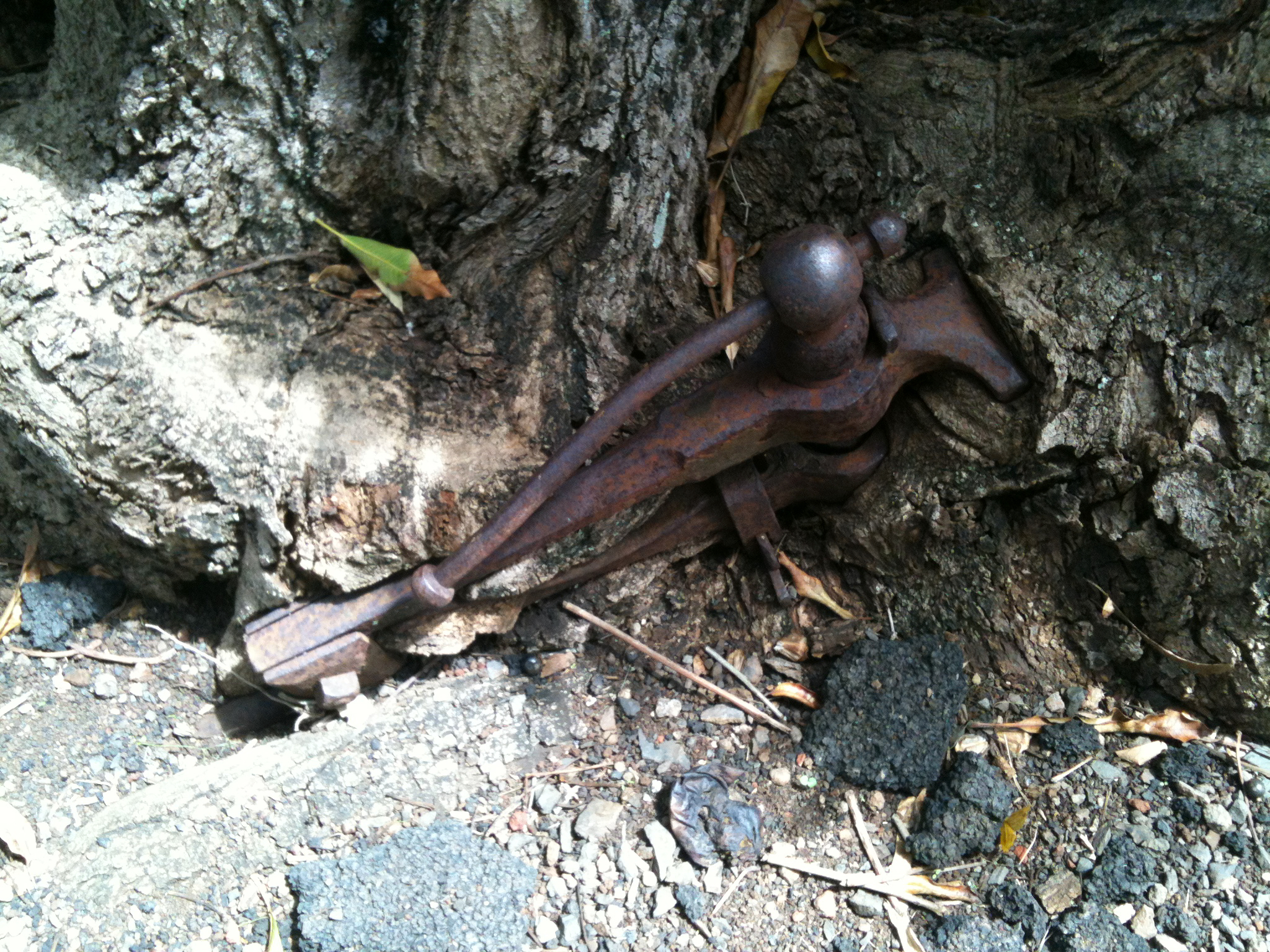 IMG_0044.jpeg