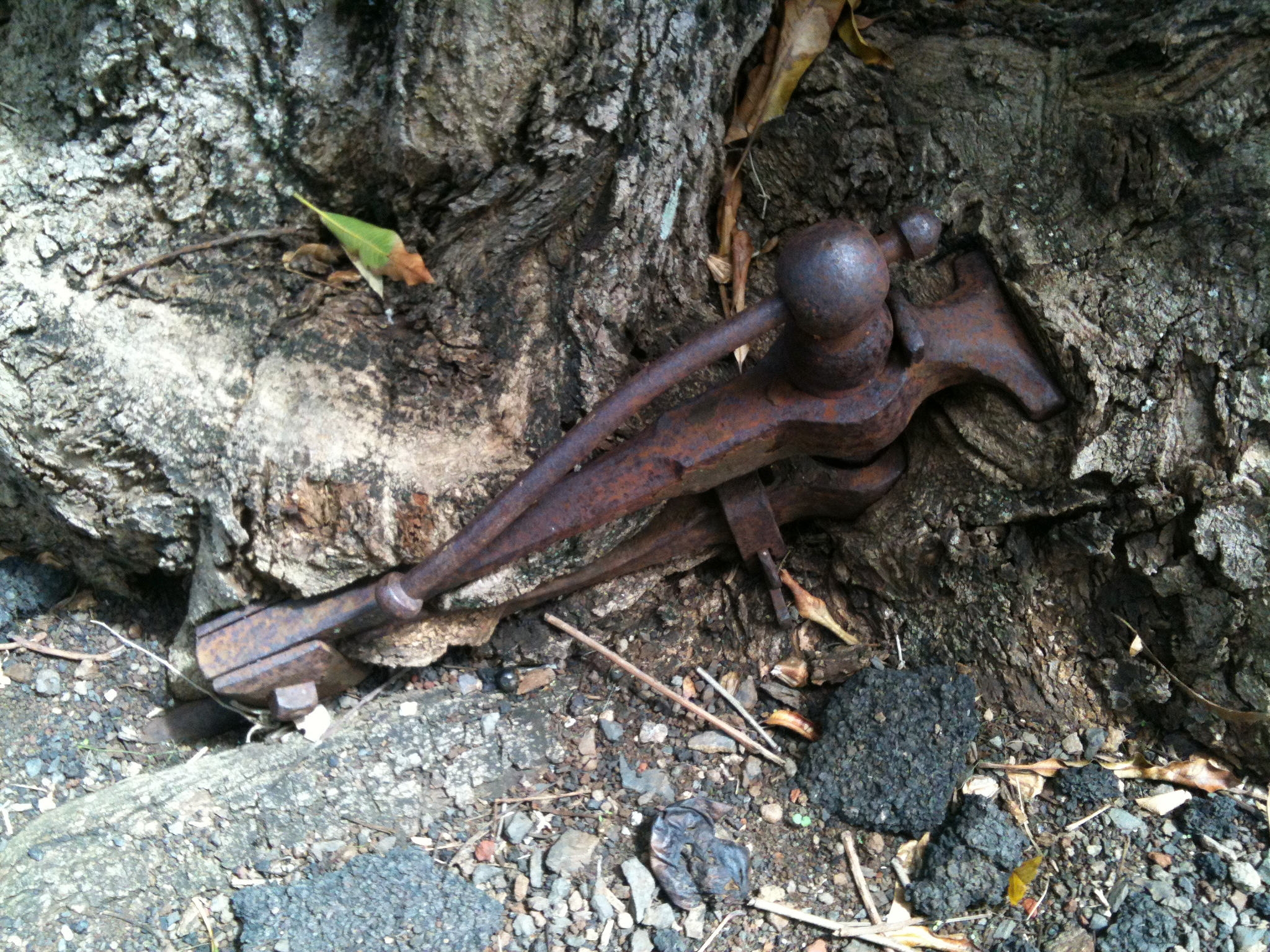 IMG_0045.jpeg