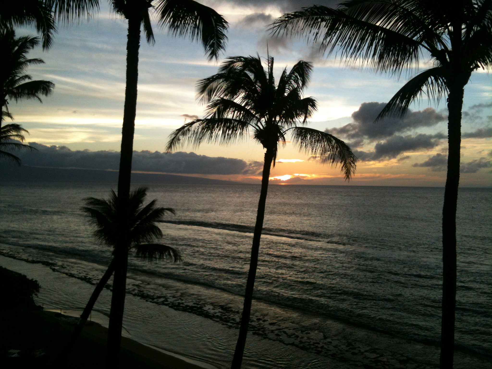 IMG_0050.jpeg