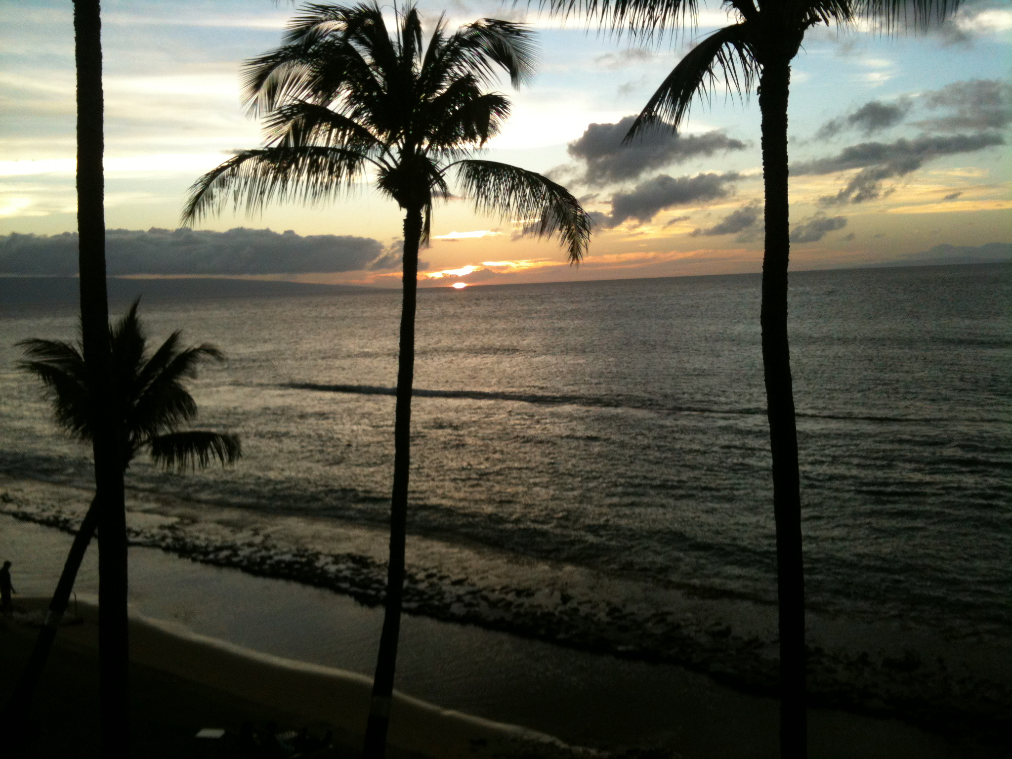 IMG_0051.jpeg