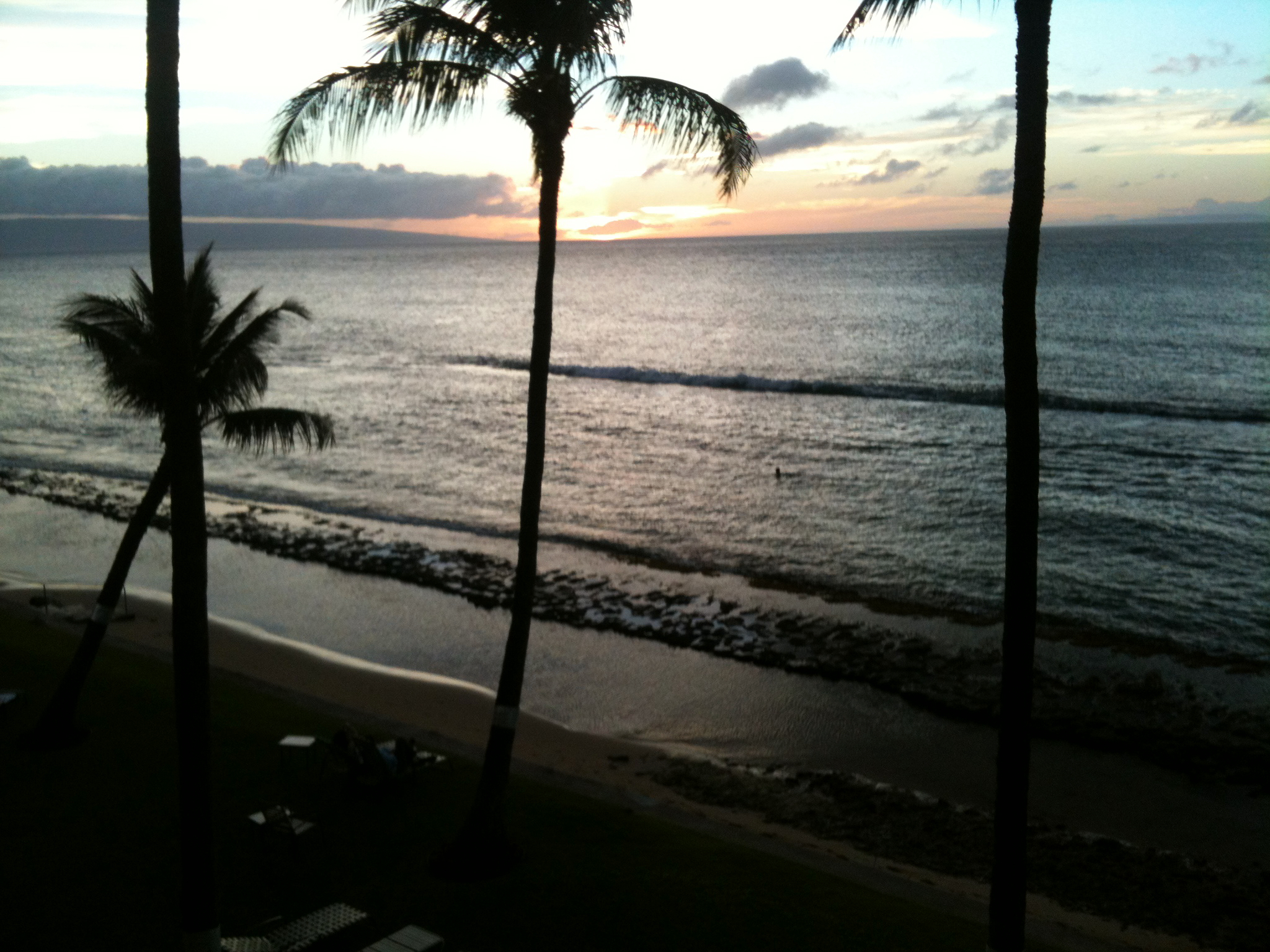 IMG_0052.jpeg