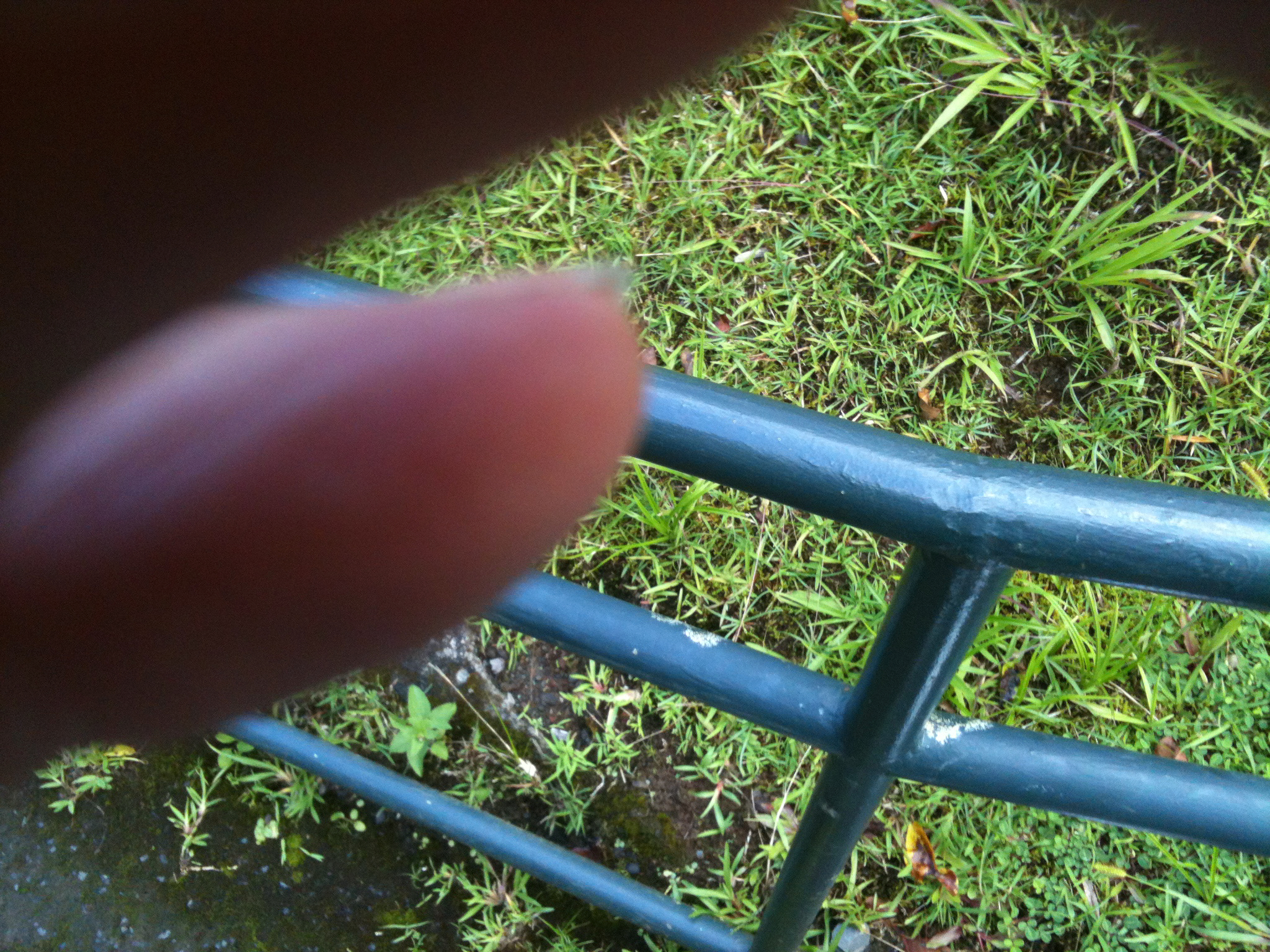IMG_0055.jpeg