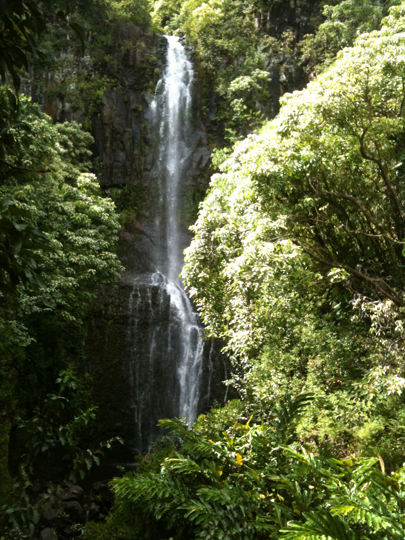 IMG_0057.jpeg