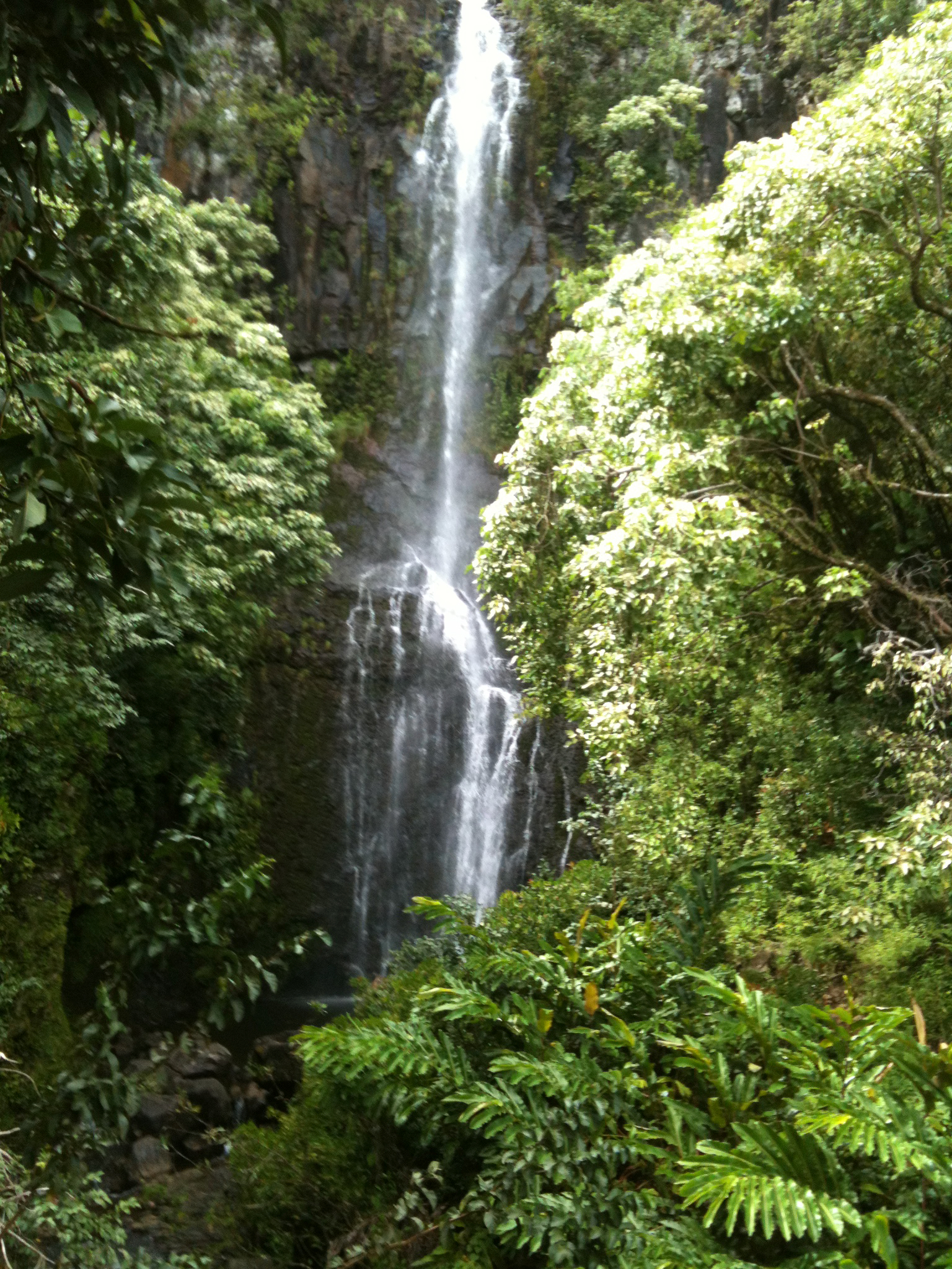 IMG_0058.jpeg
