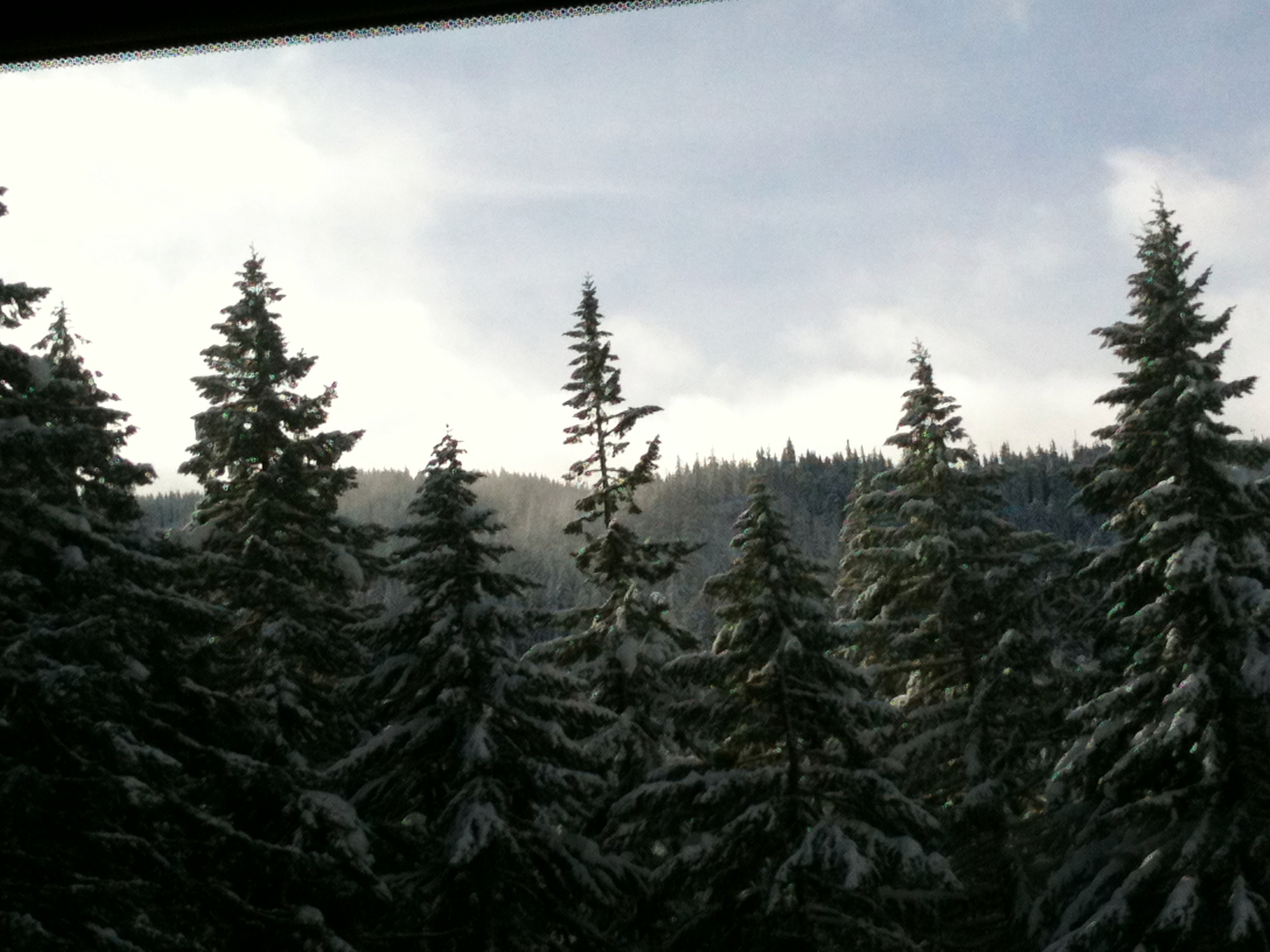 IMG_0109.jpeg