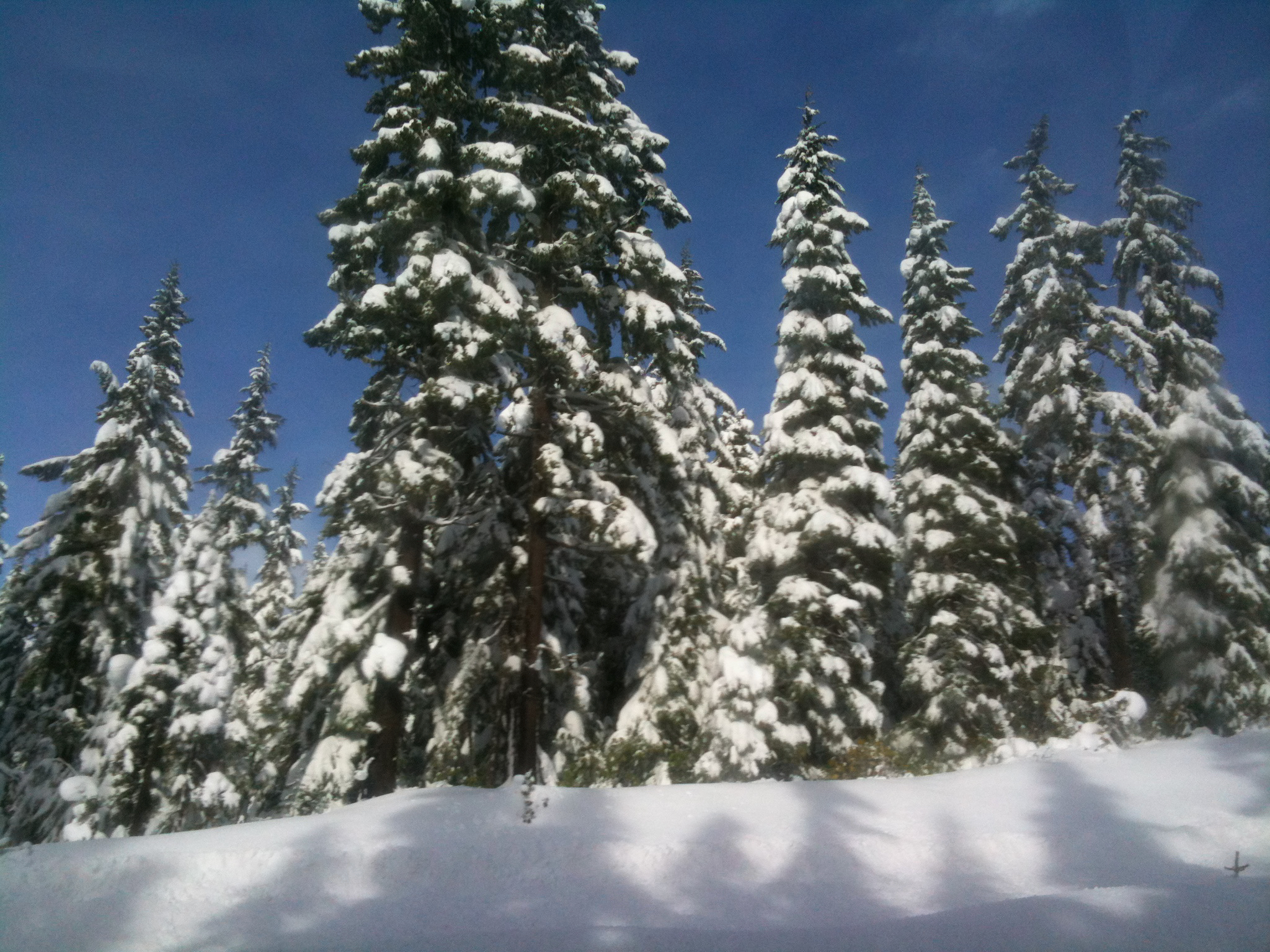 IMG_0115.jpeg