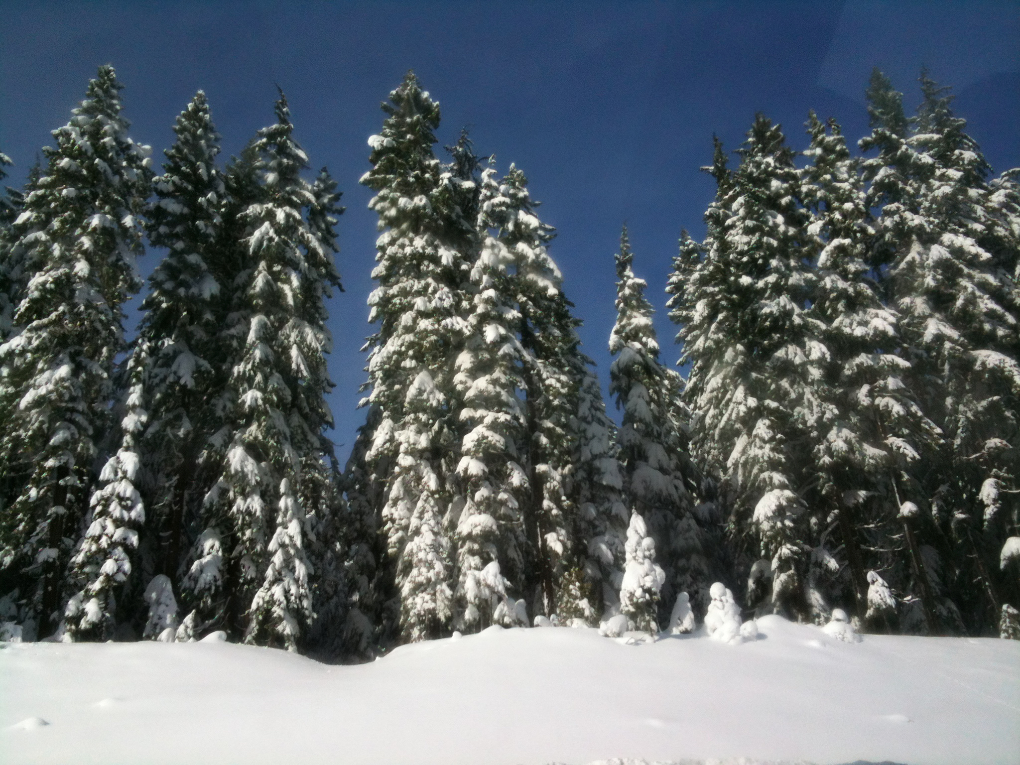 IMG_0118.jpeg