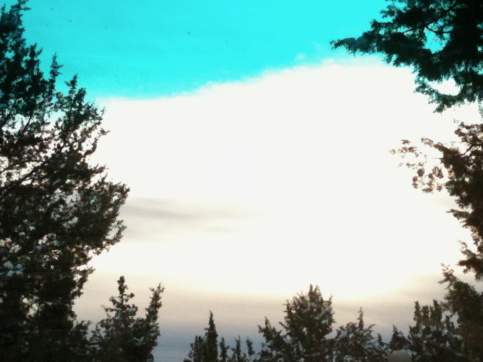 IMG_0167.jpeg