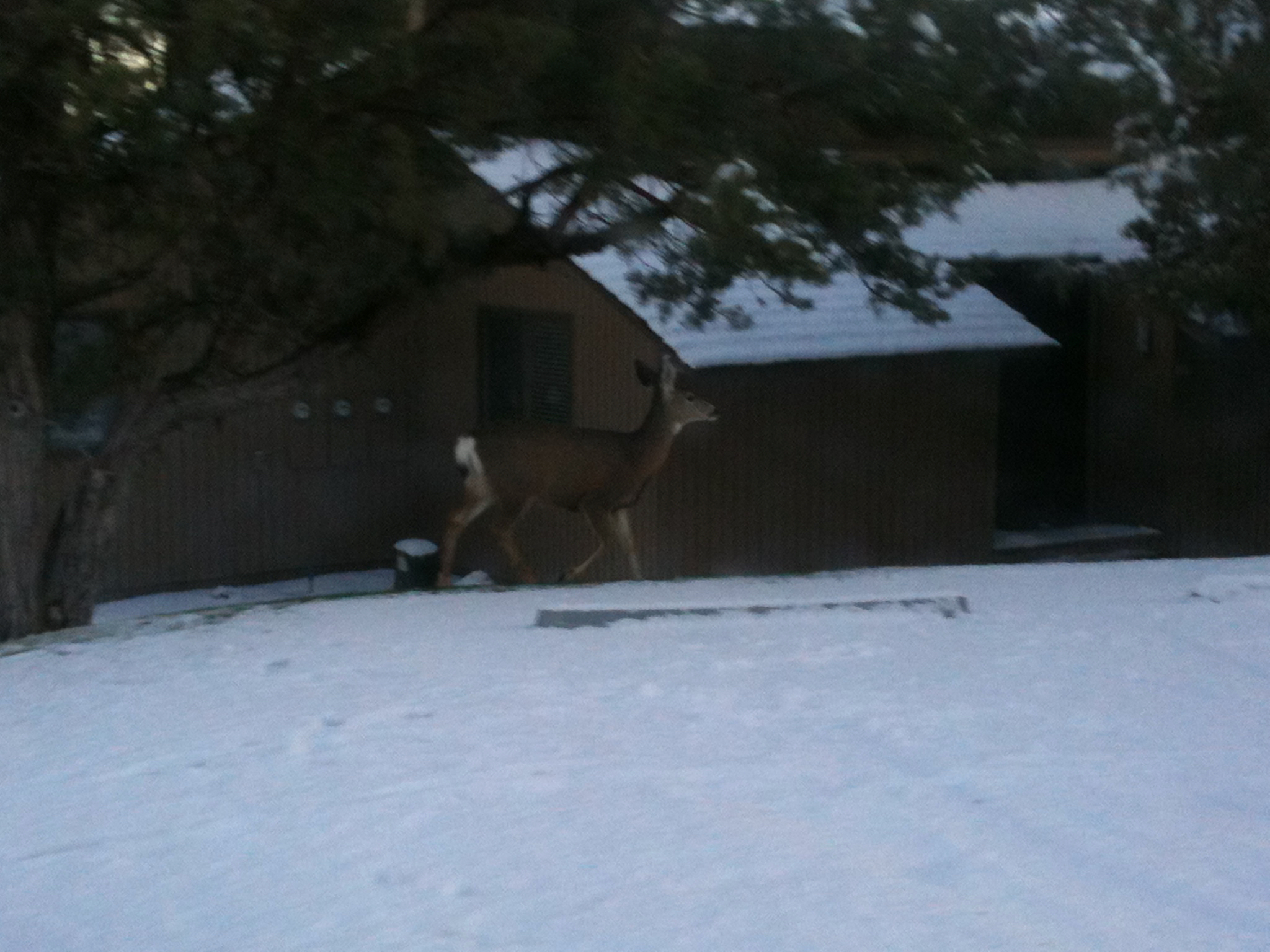 IMG_0172.jpeg