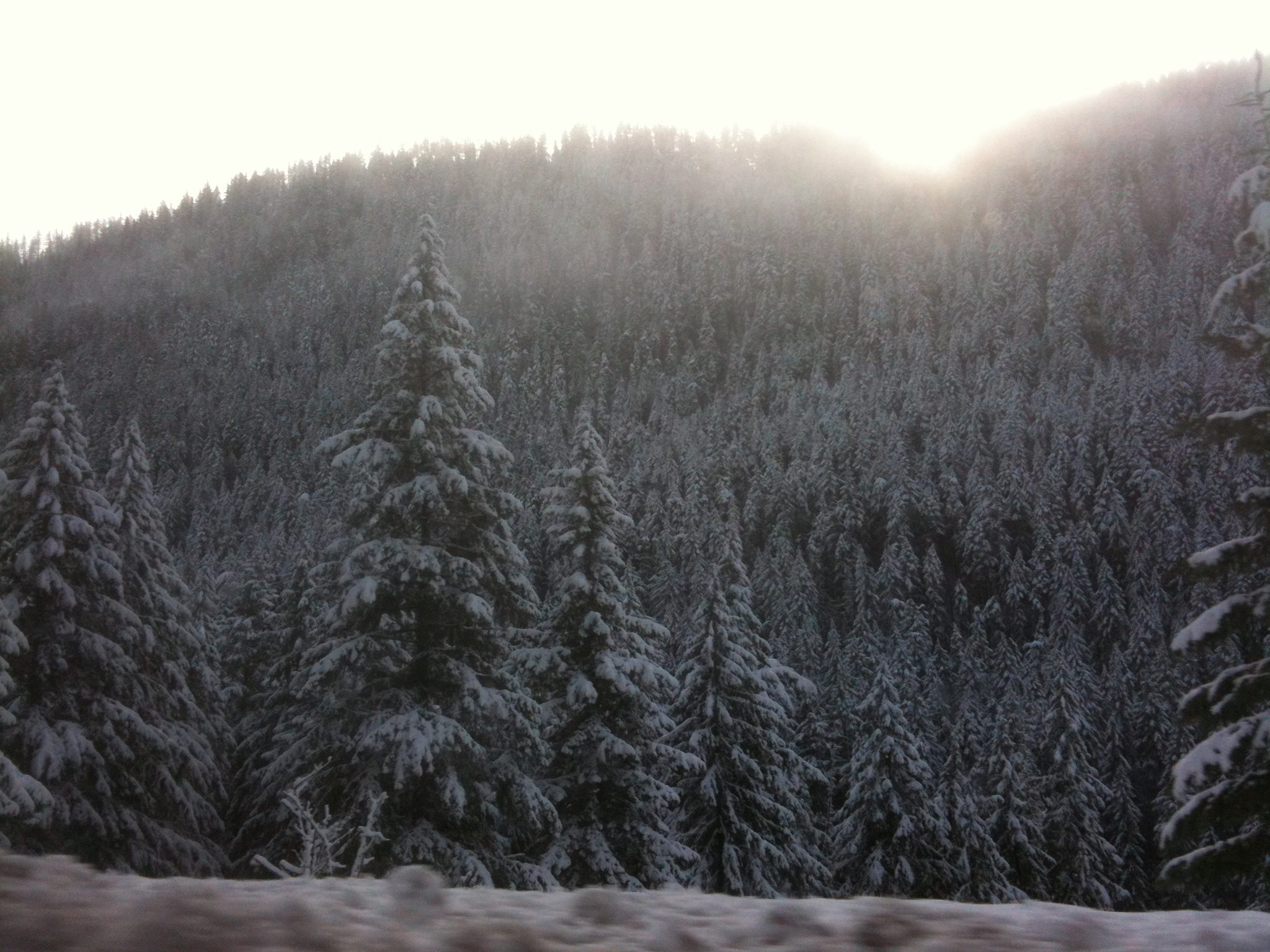 IMG_1087.jpeg