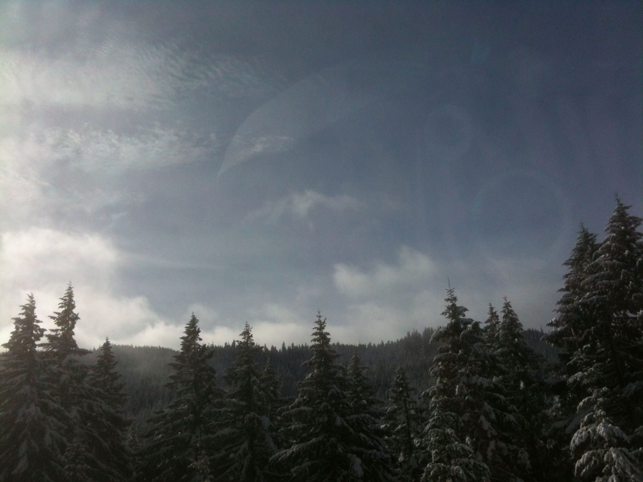 IMG_1092.jpeg