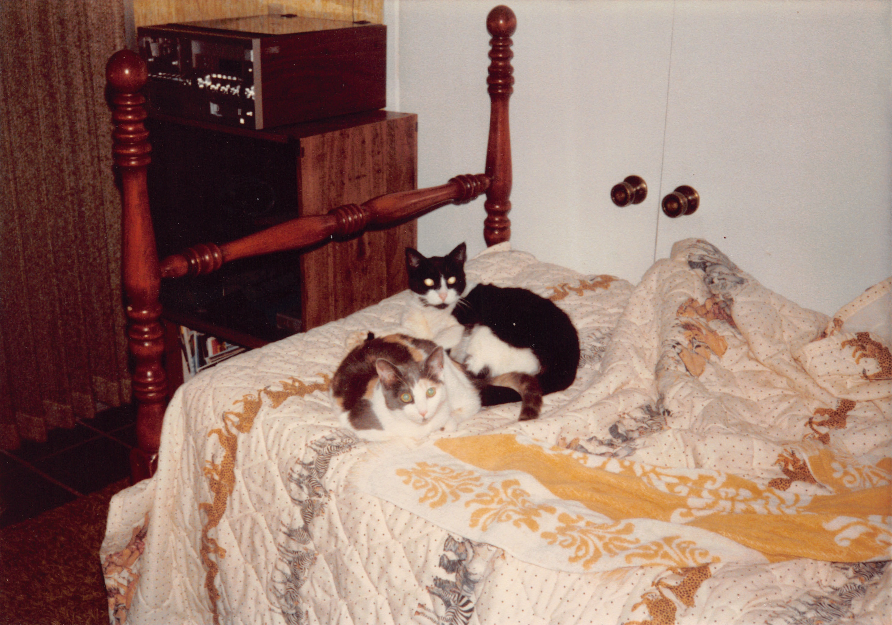 Misc_219.jpg