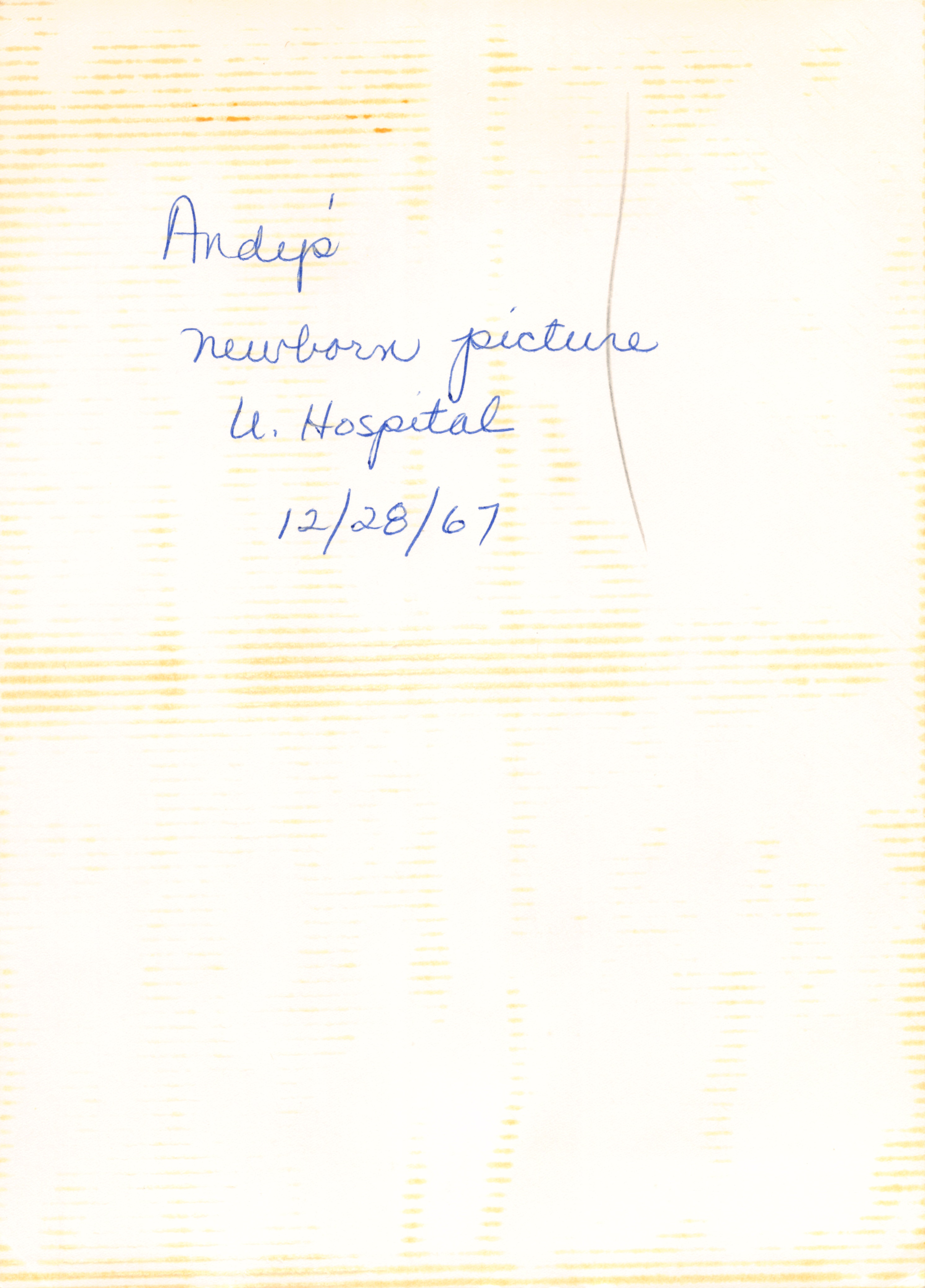 Misc_284.jpg