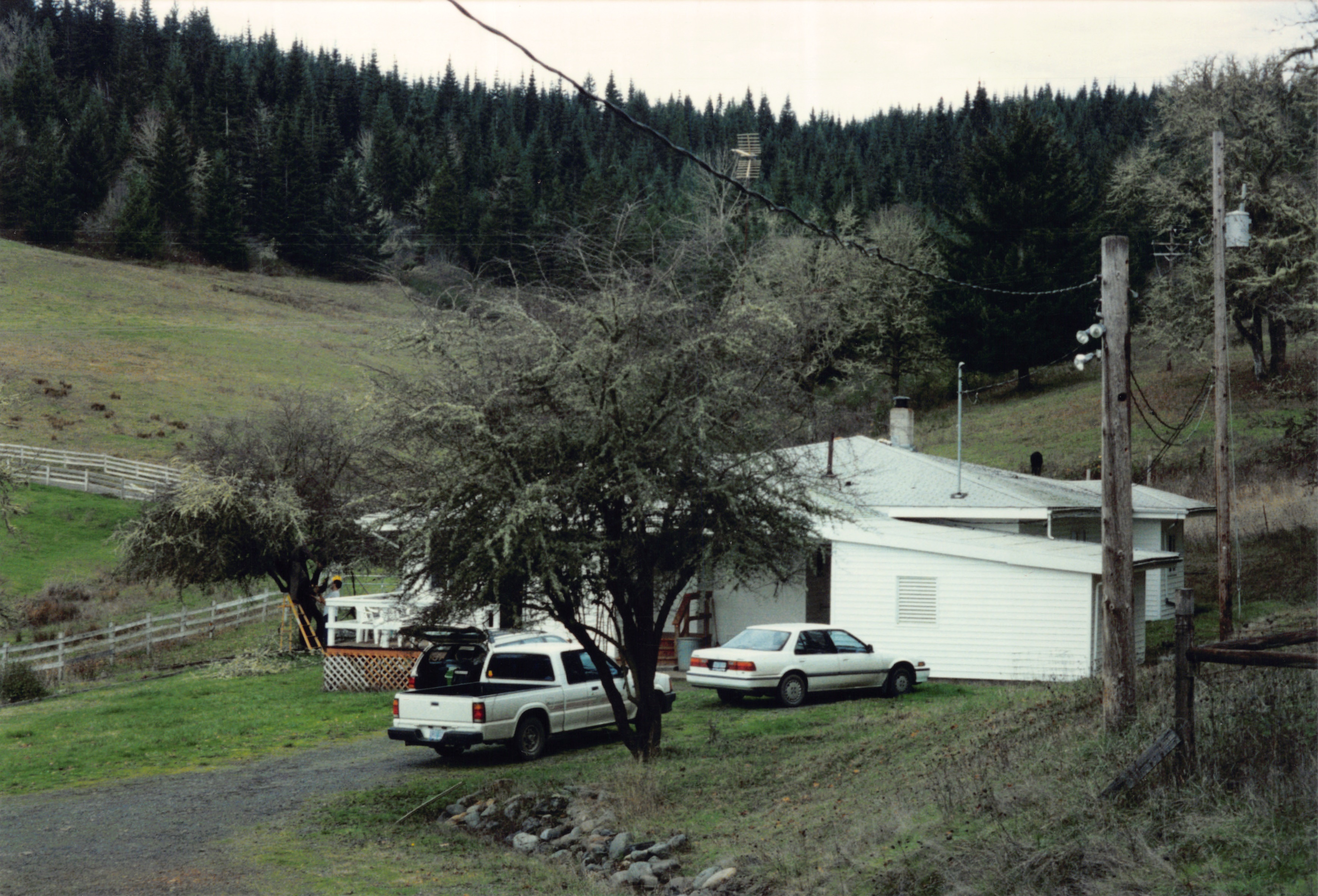 1996_117.jpg