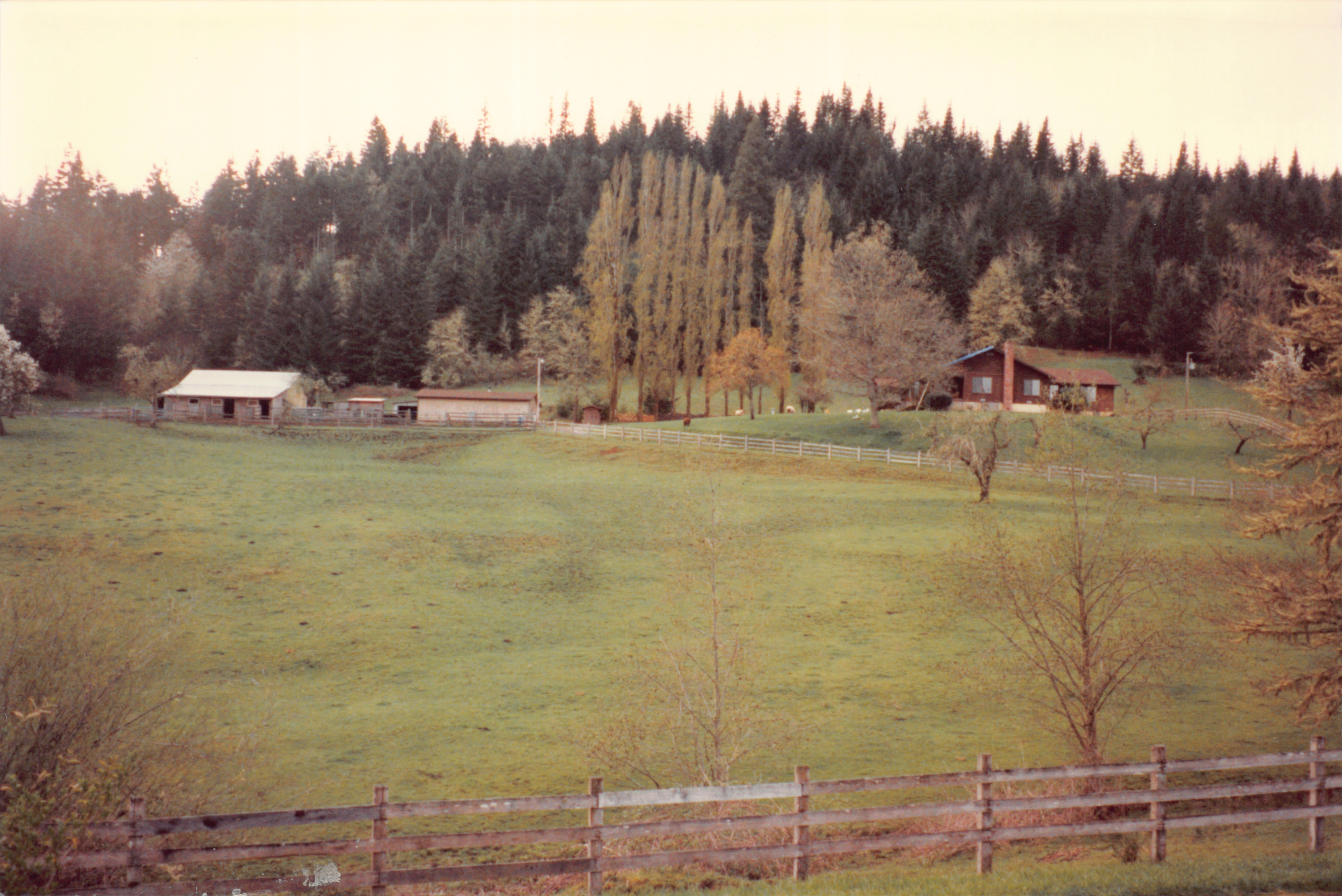 1996_118.jpg