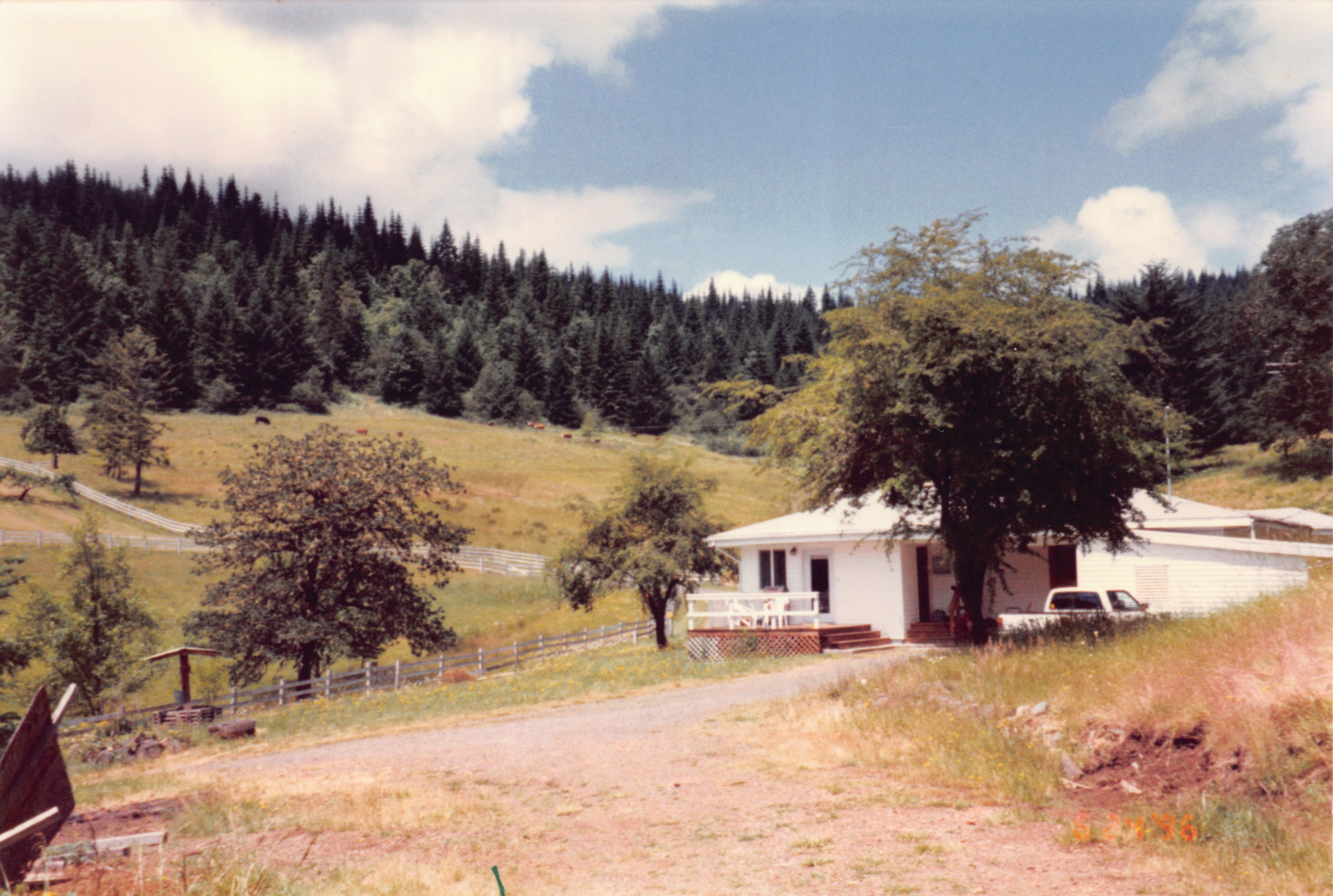 1996_137.jpg