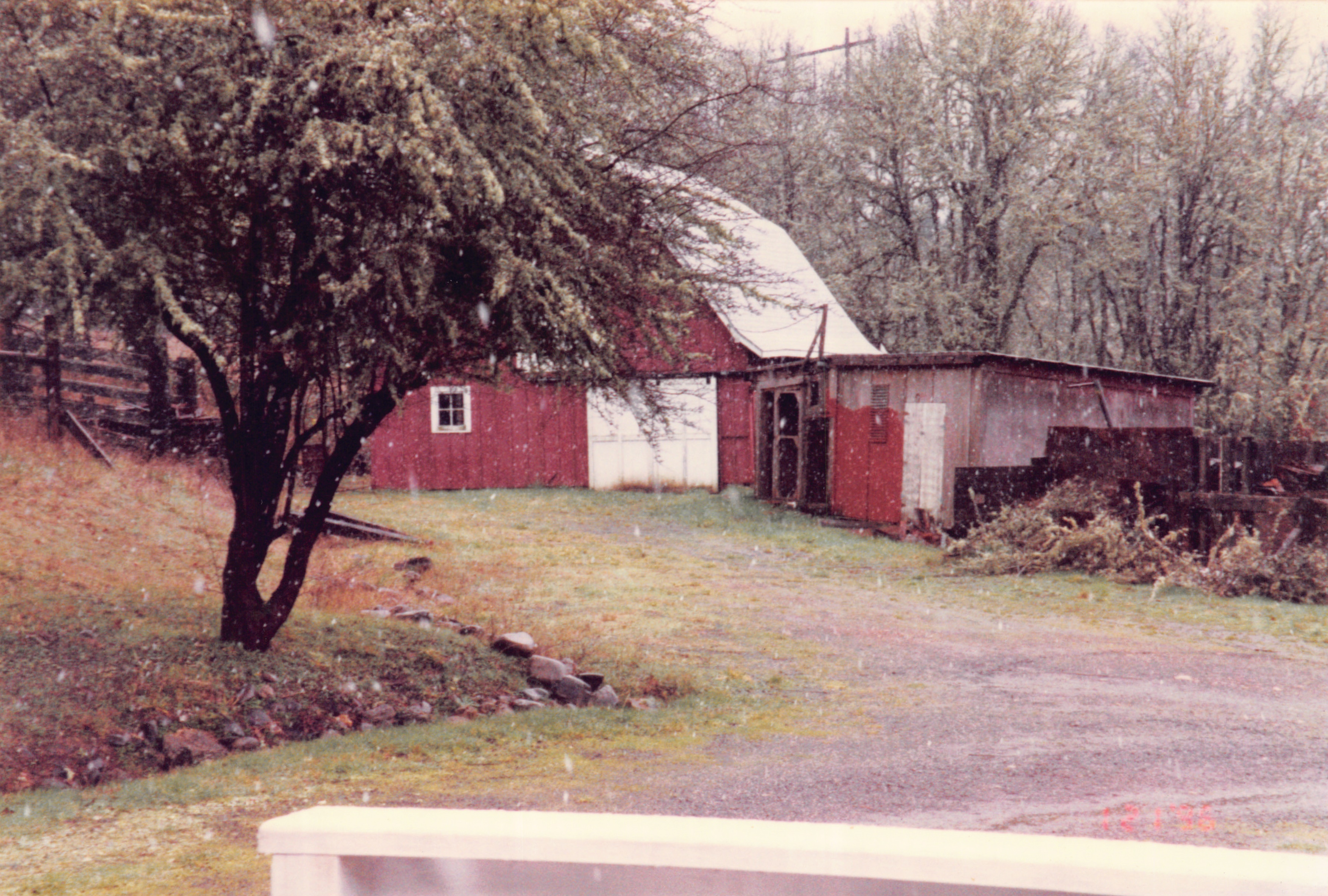 1996_140.jpg
