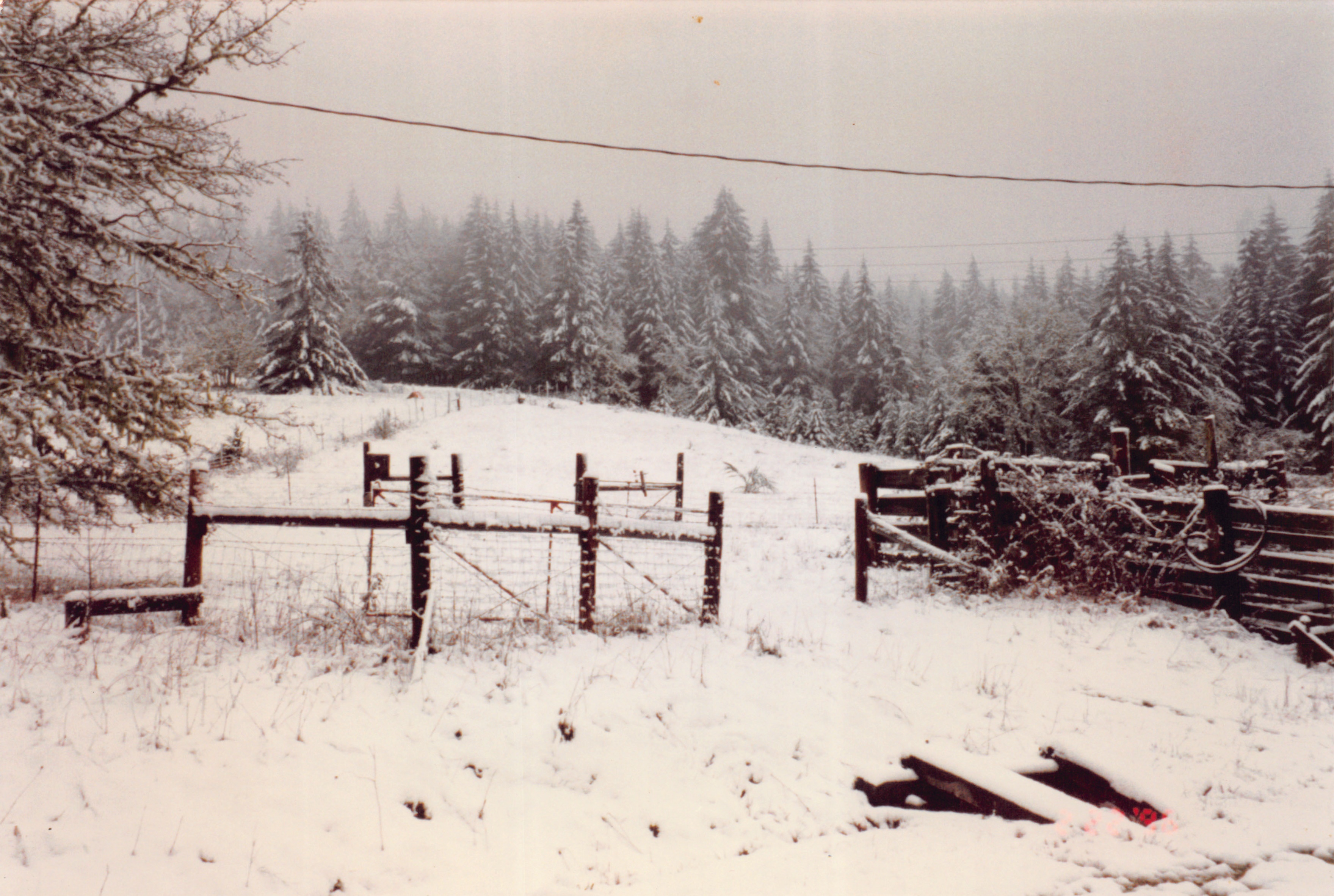 1996_147.jpg