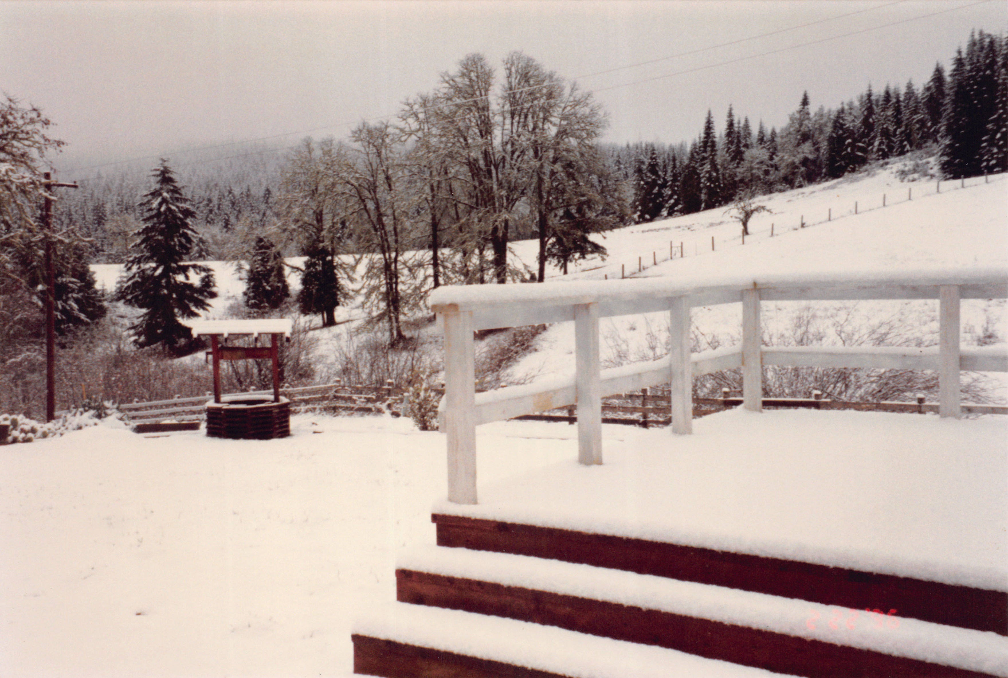 1996_150.jpg