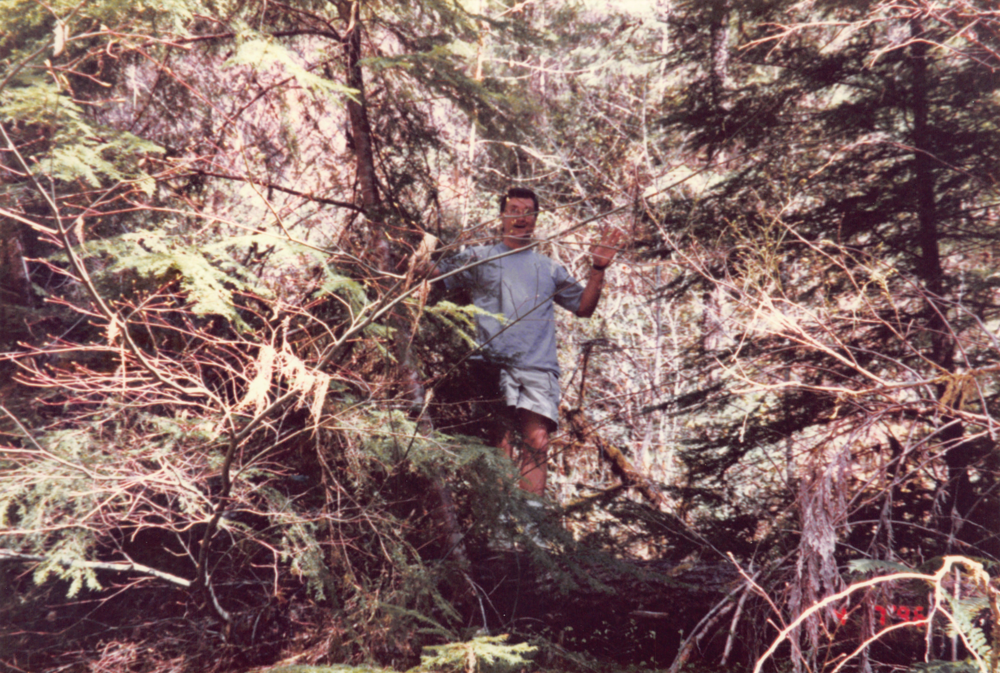 1996_194.jpg