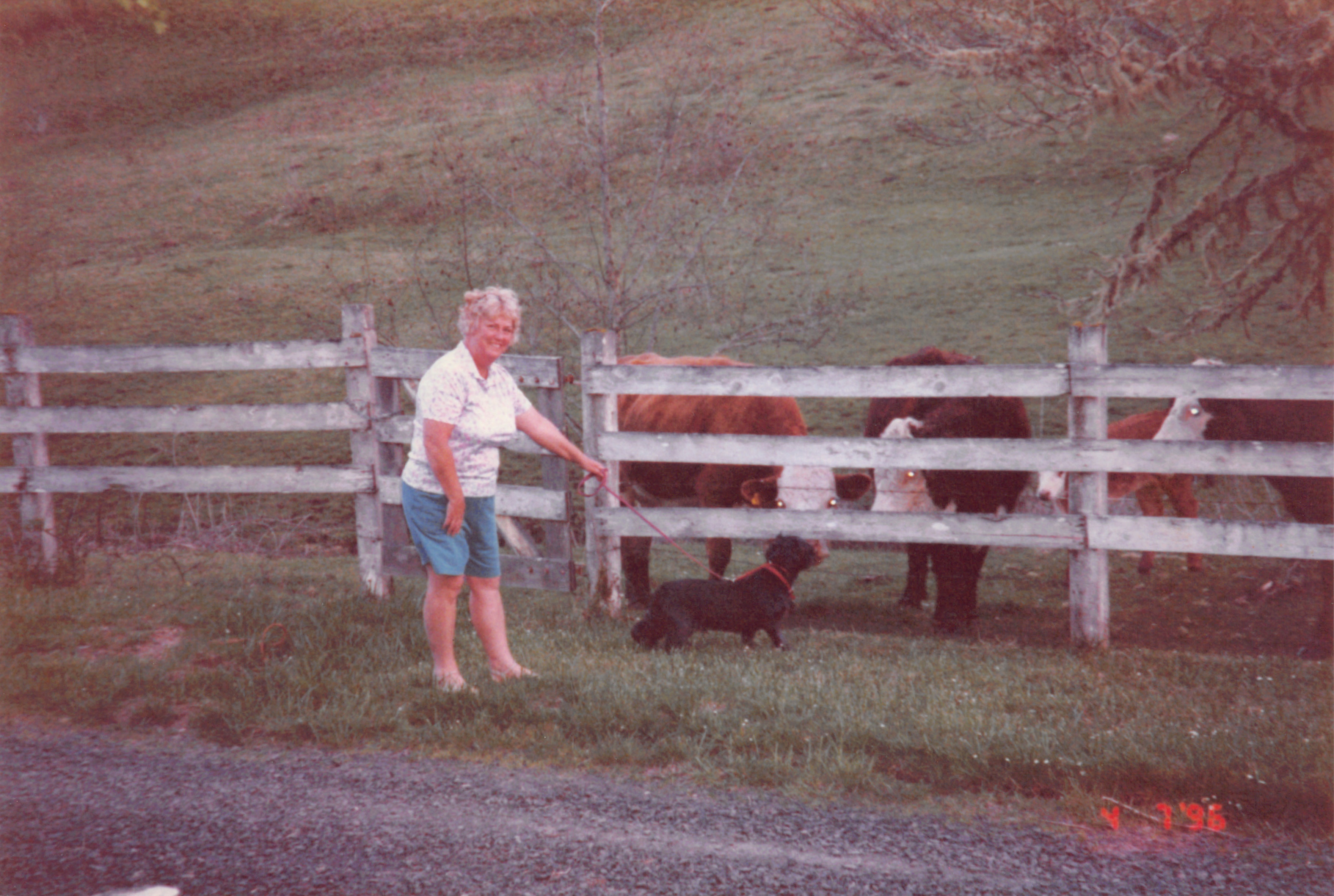1996_230.jpg