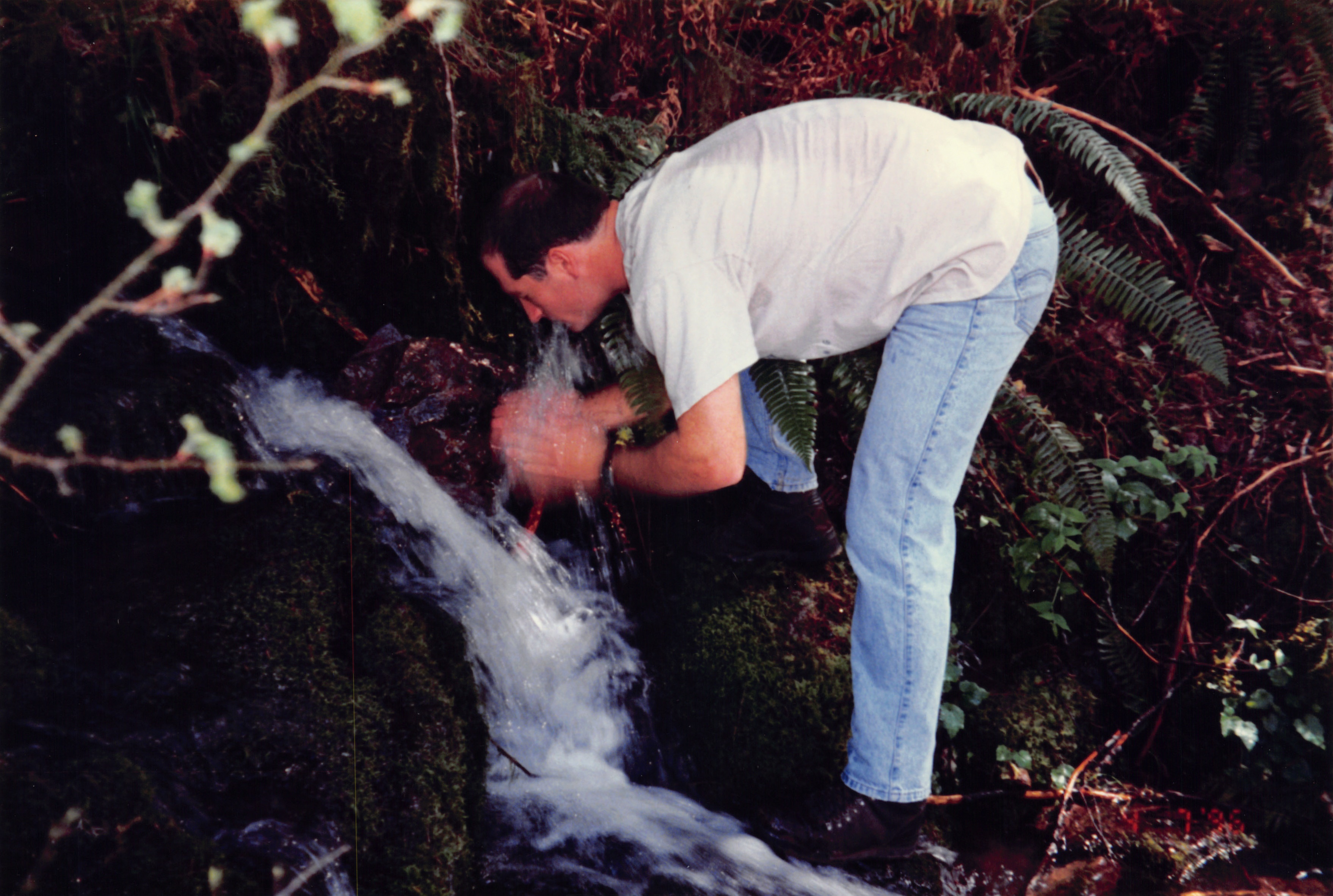 1996_239.jpg