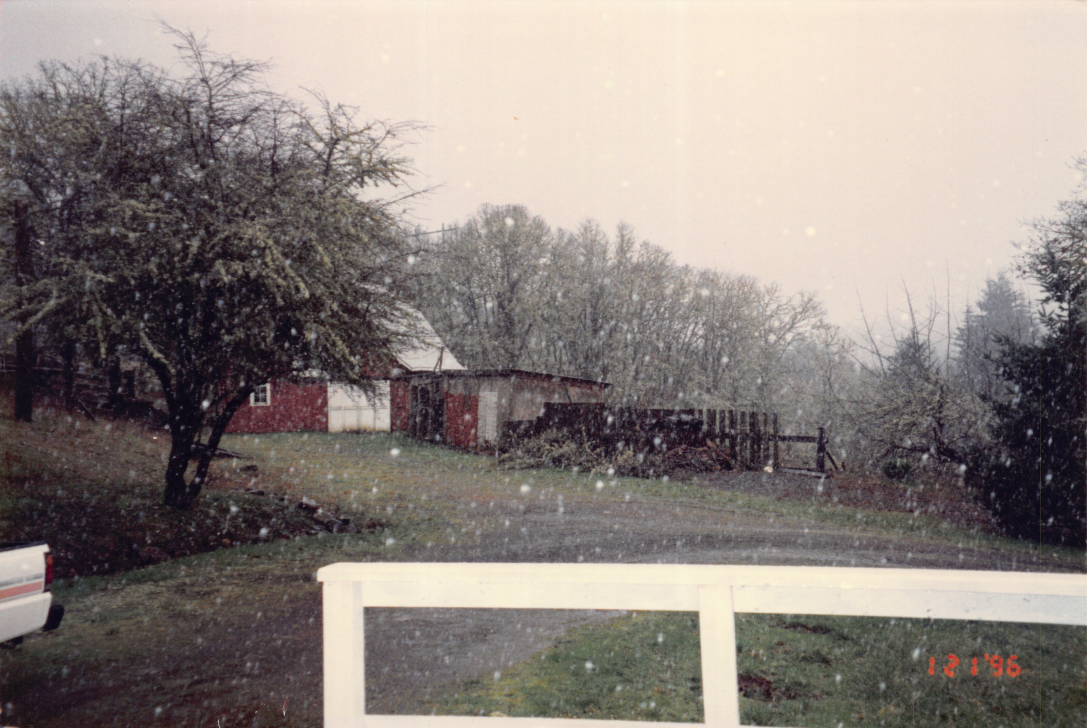 1996_314.jpg