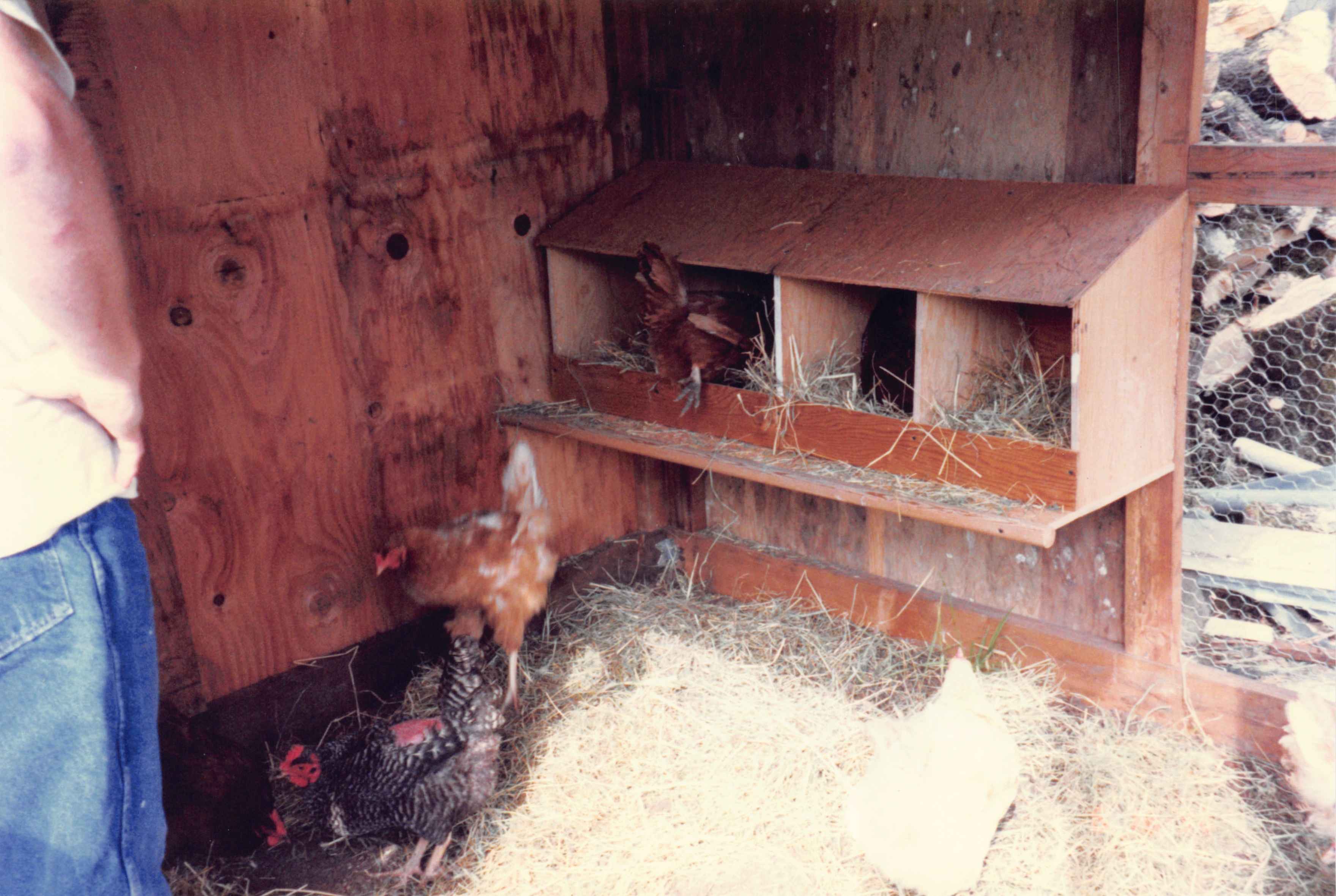 1996_327.jpg