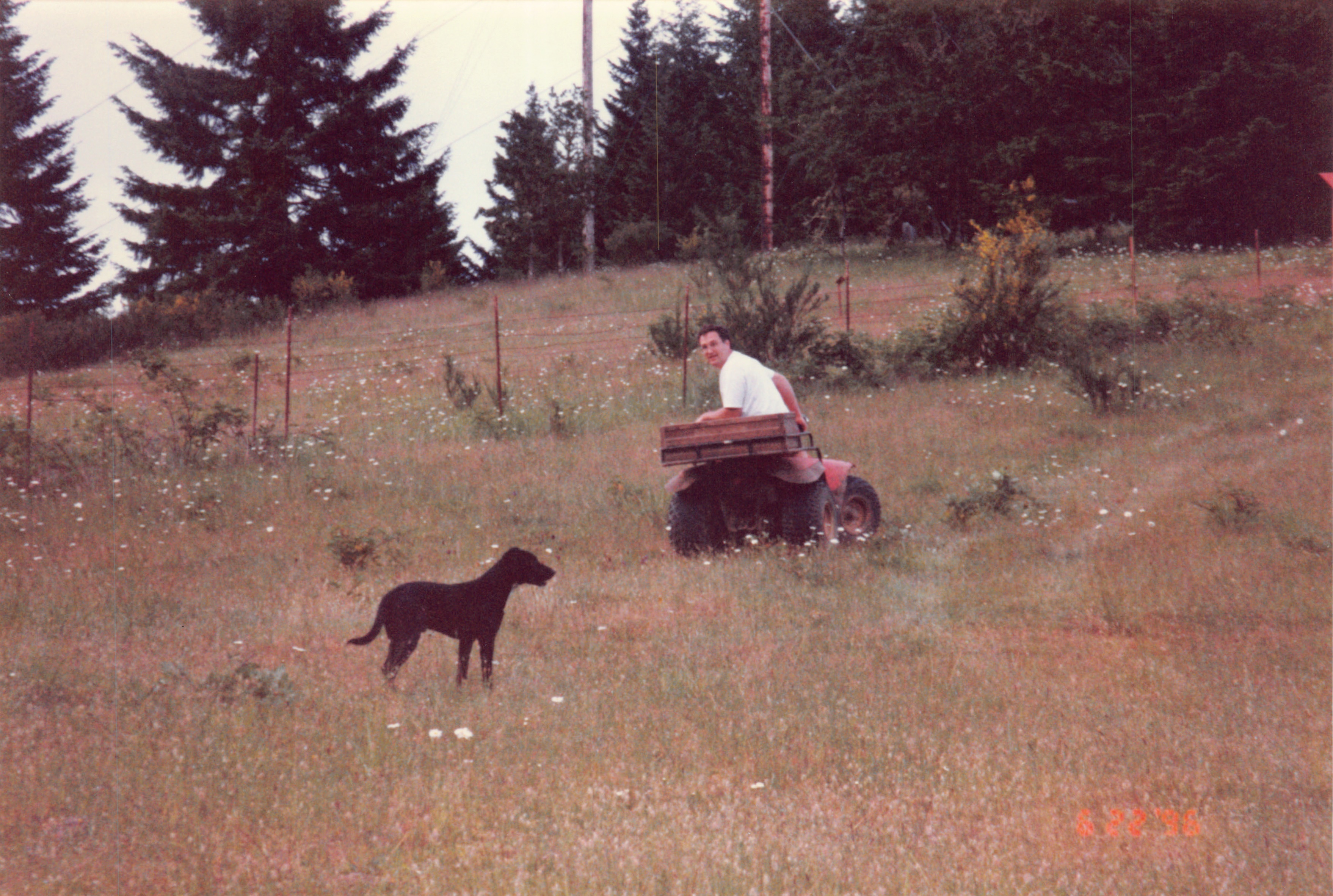 1996_338.jpg