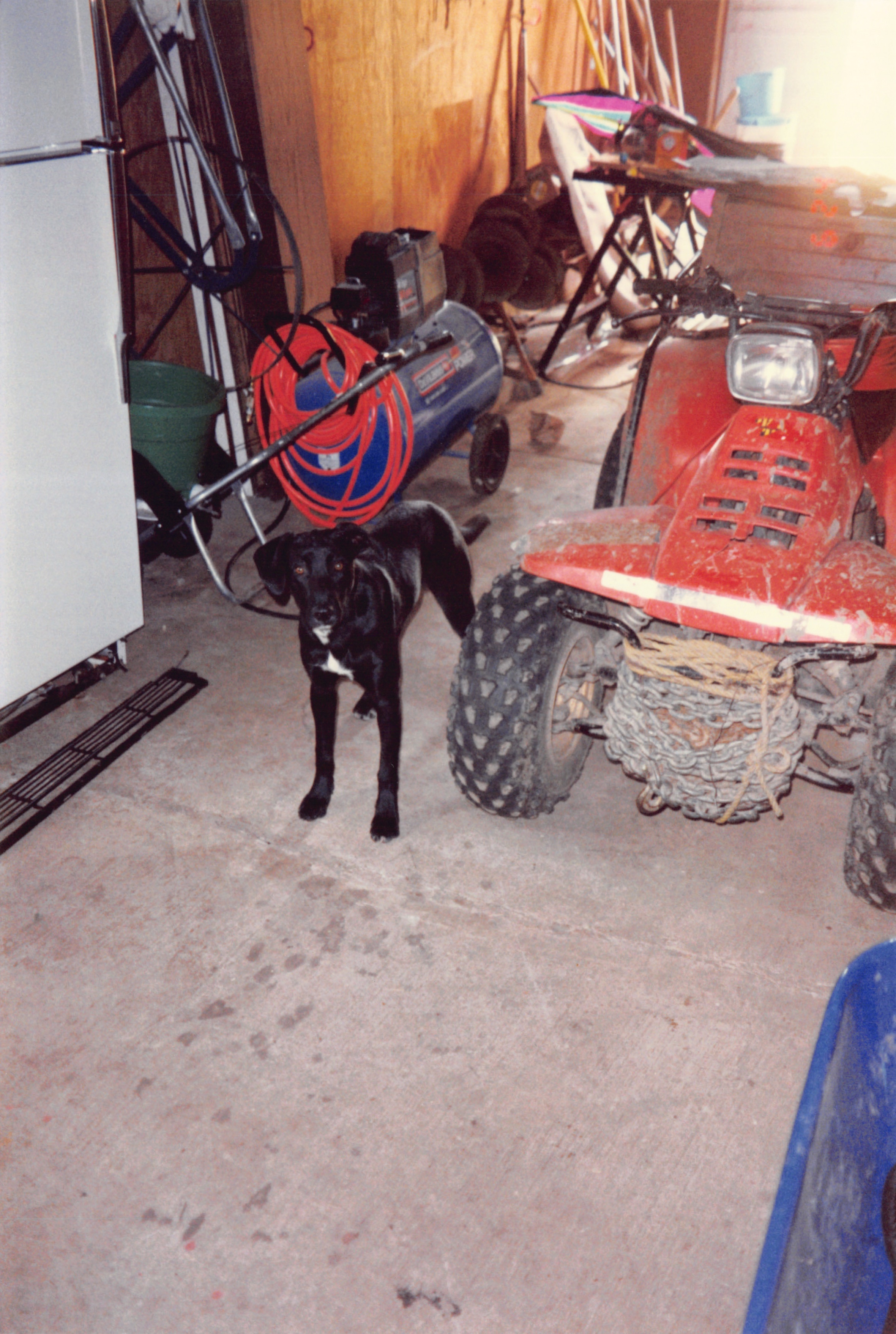 1996_339.jpg