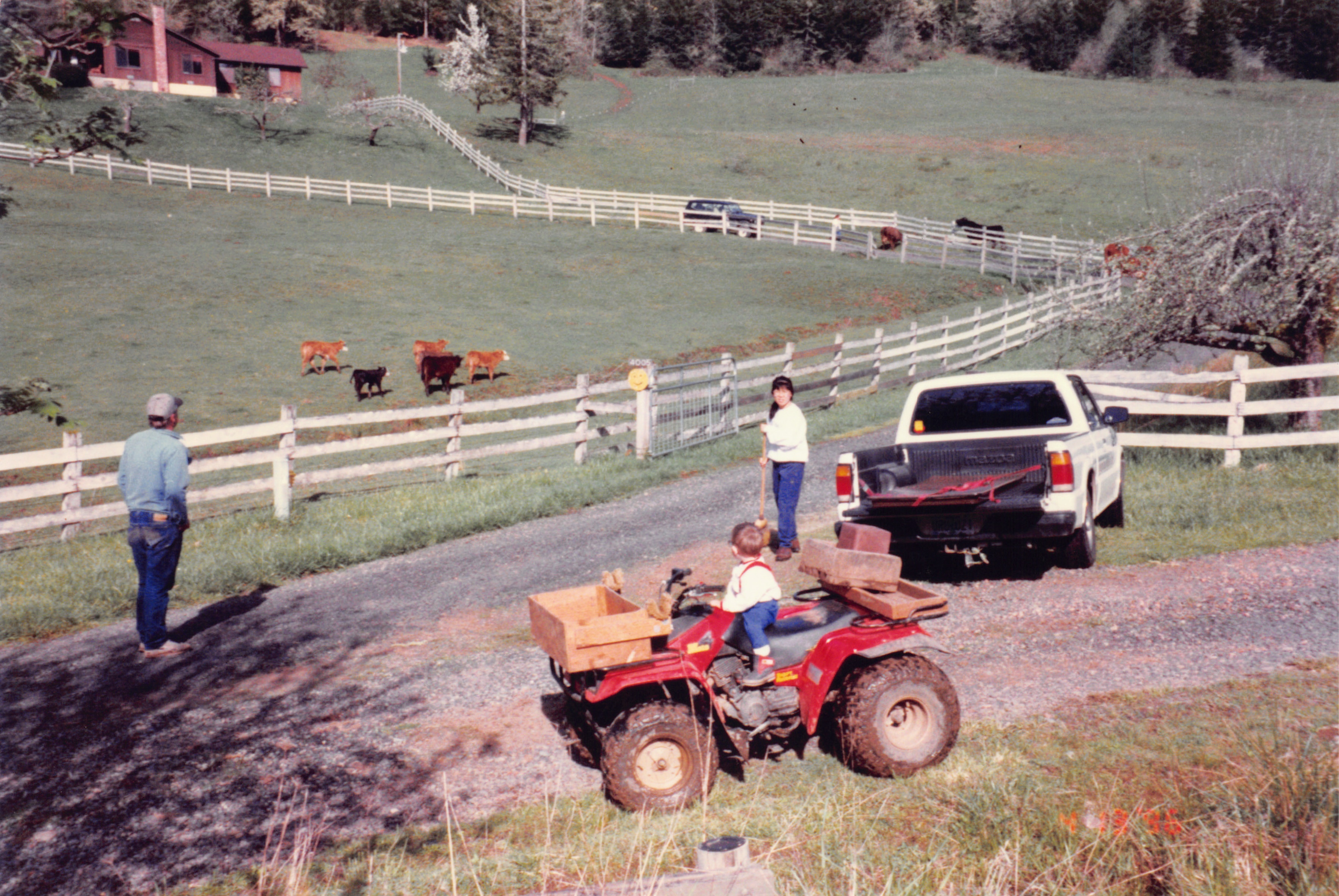 1996_340.jpg