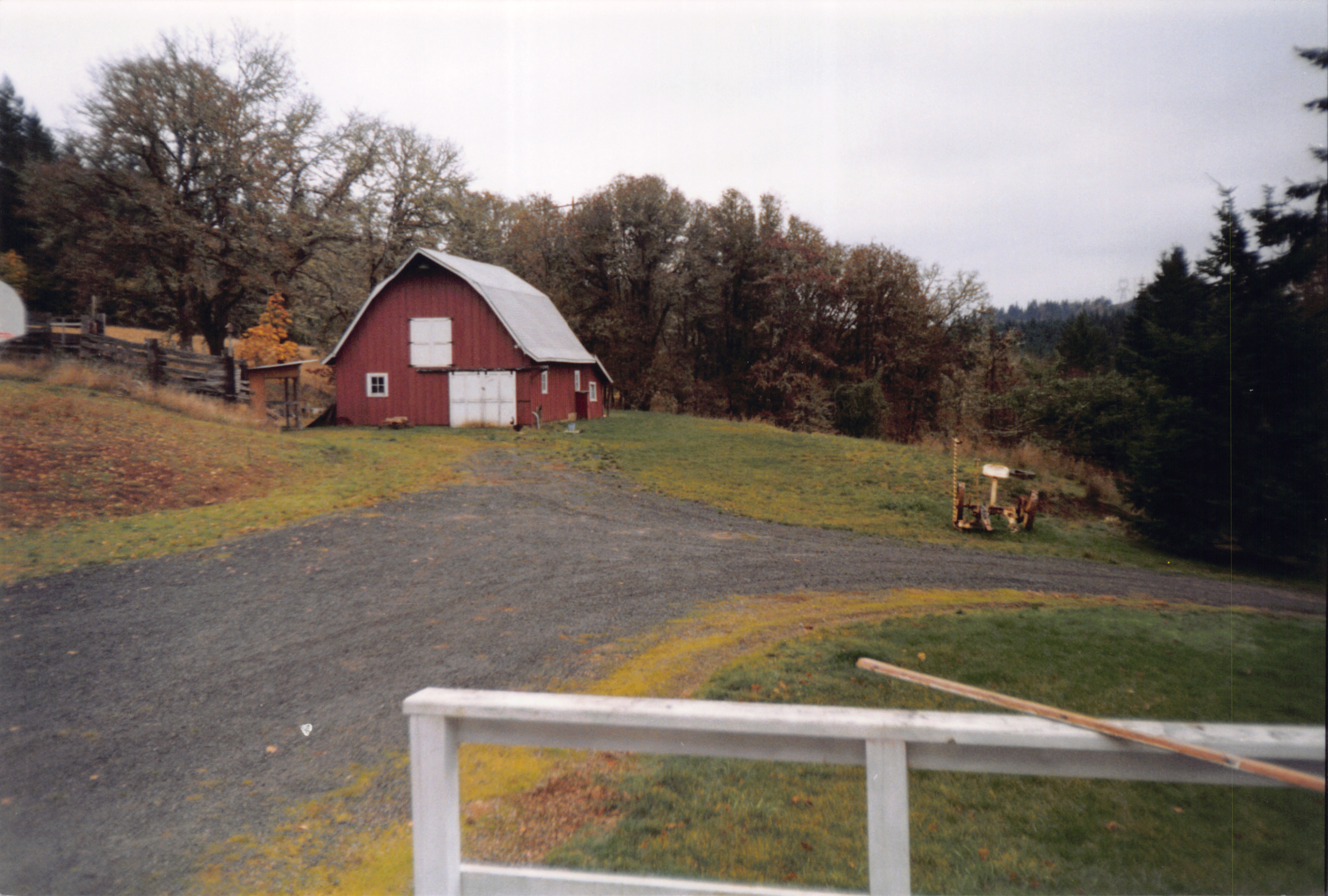 1997_017.jpg
