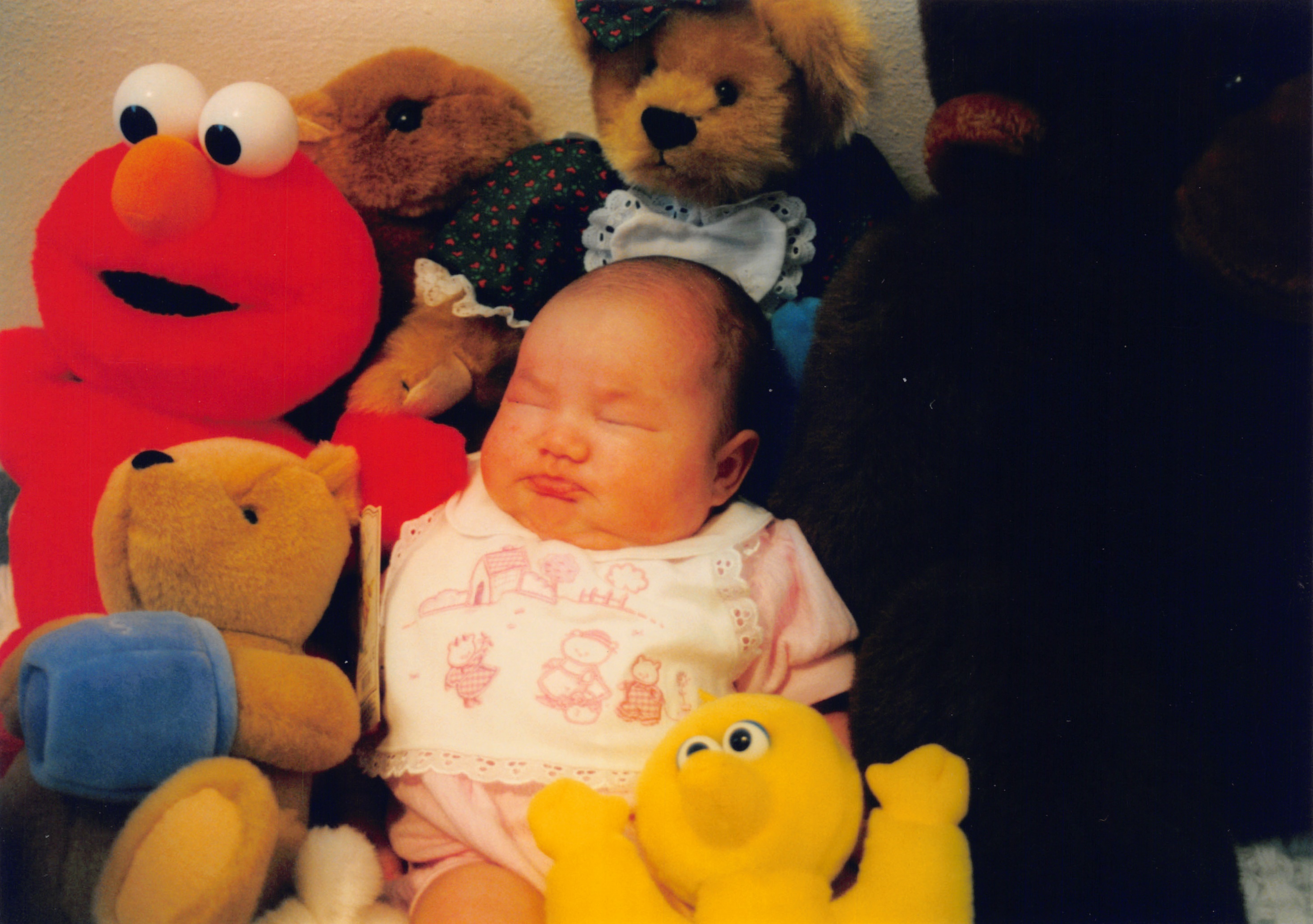1998_072.jpg