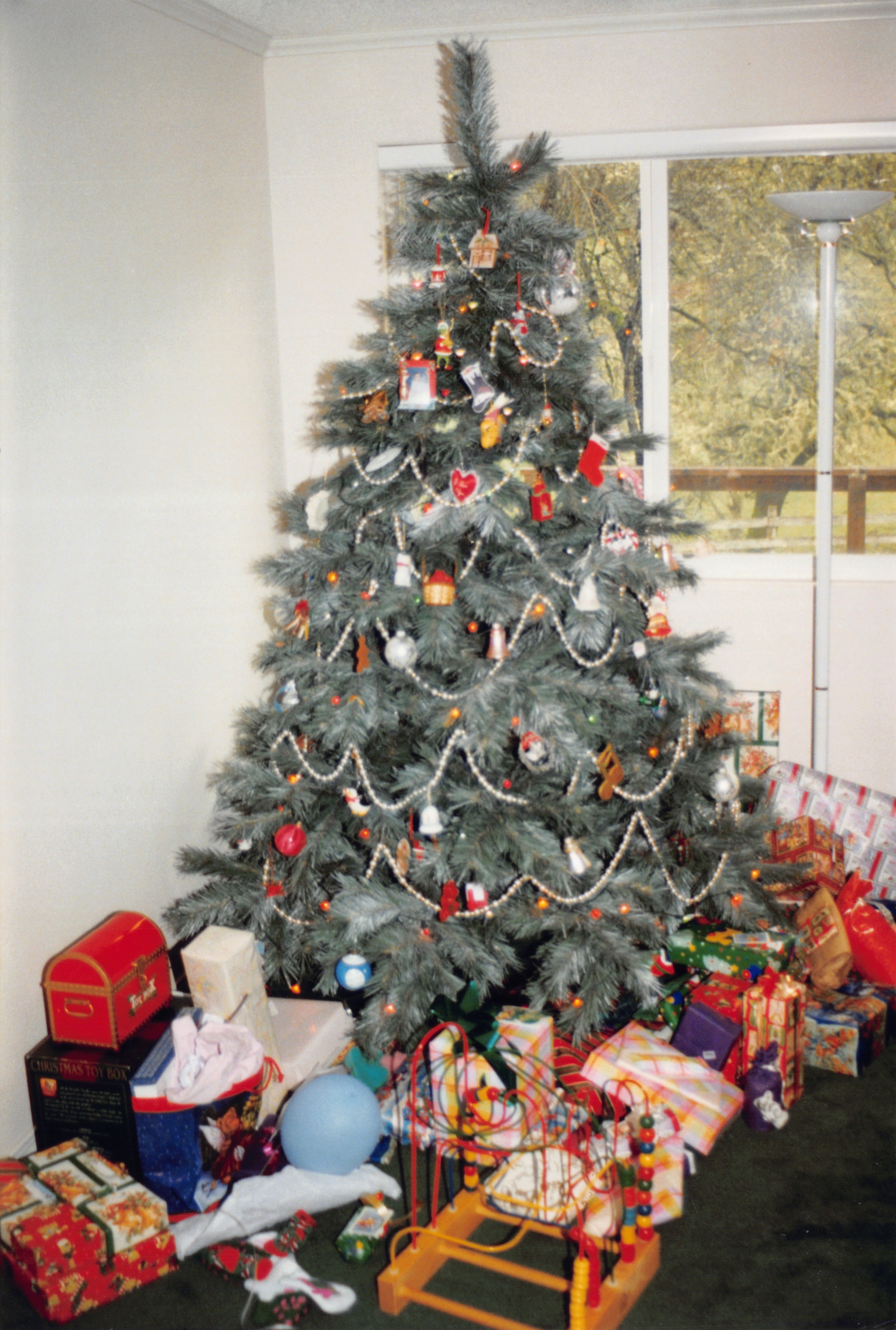 1998_257.jpg
