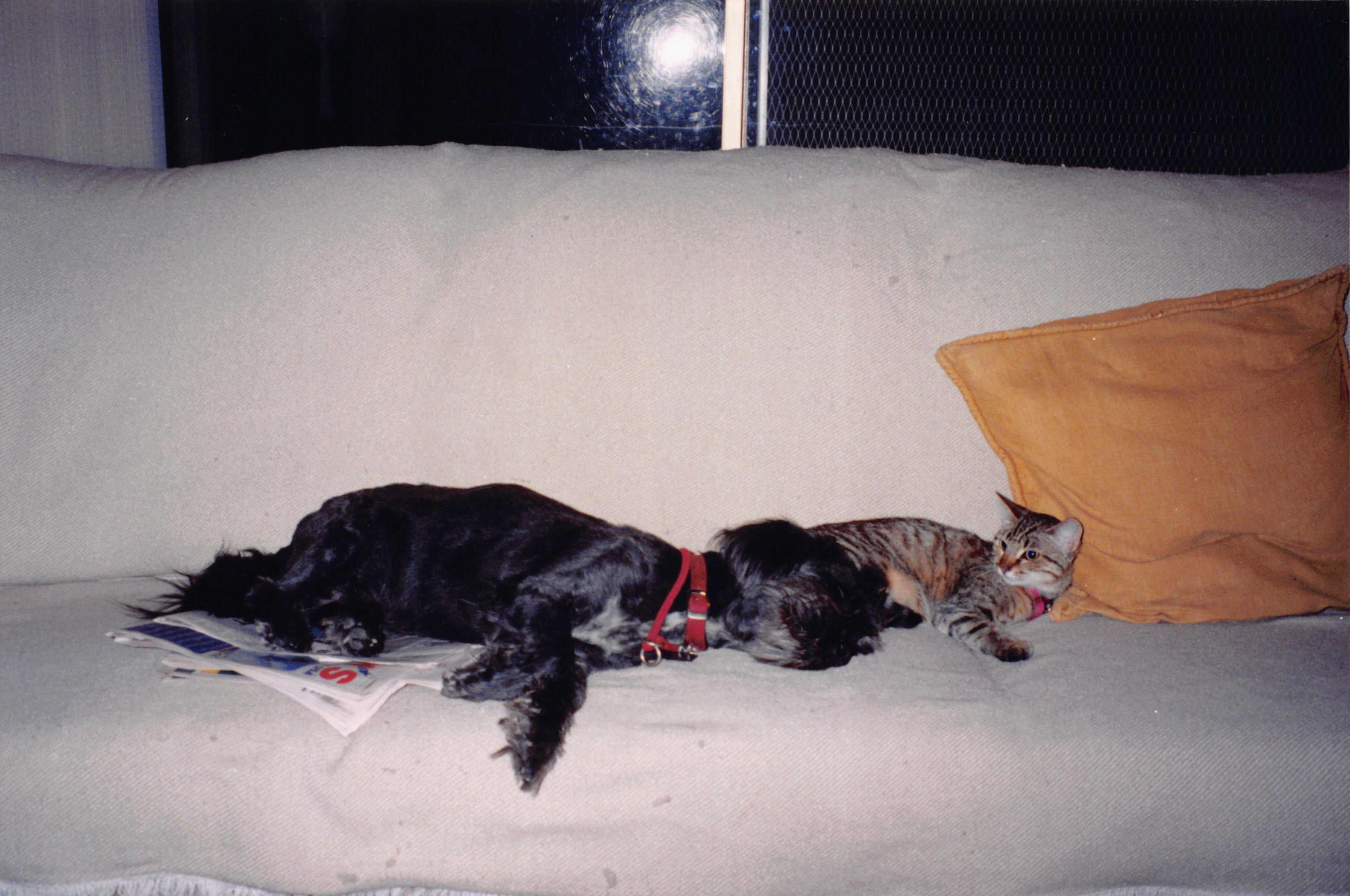 1999_095.jpg