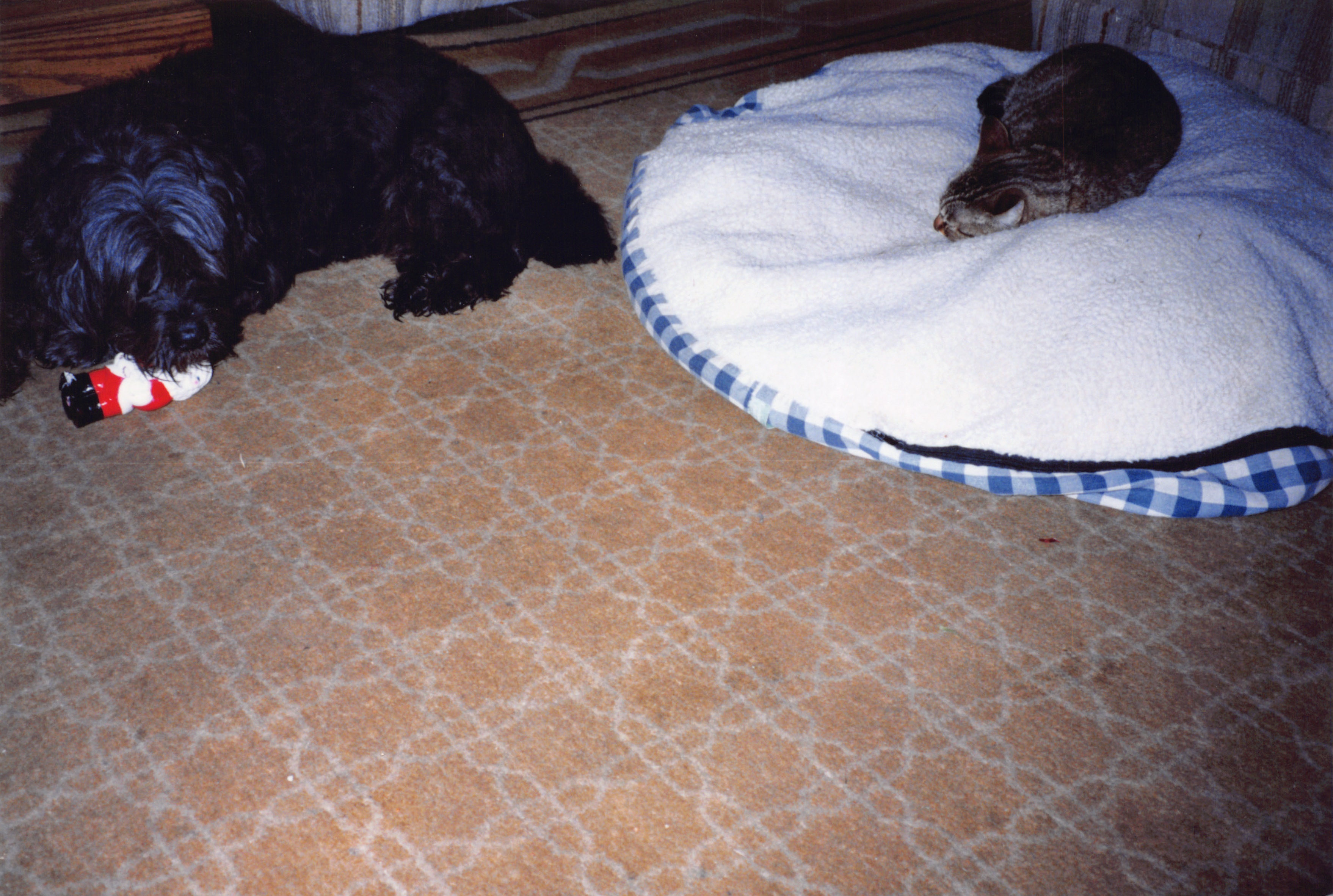 1999_097.jpg