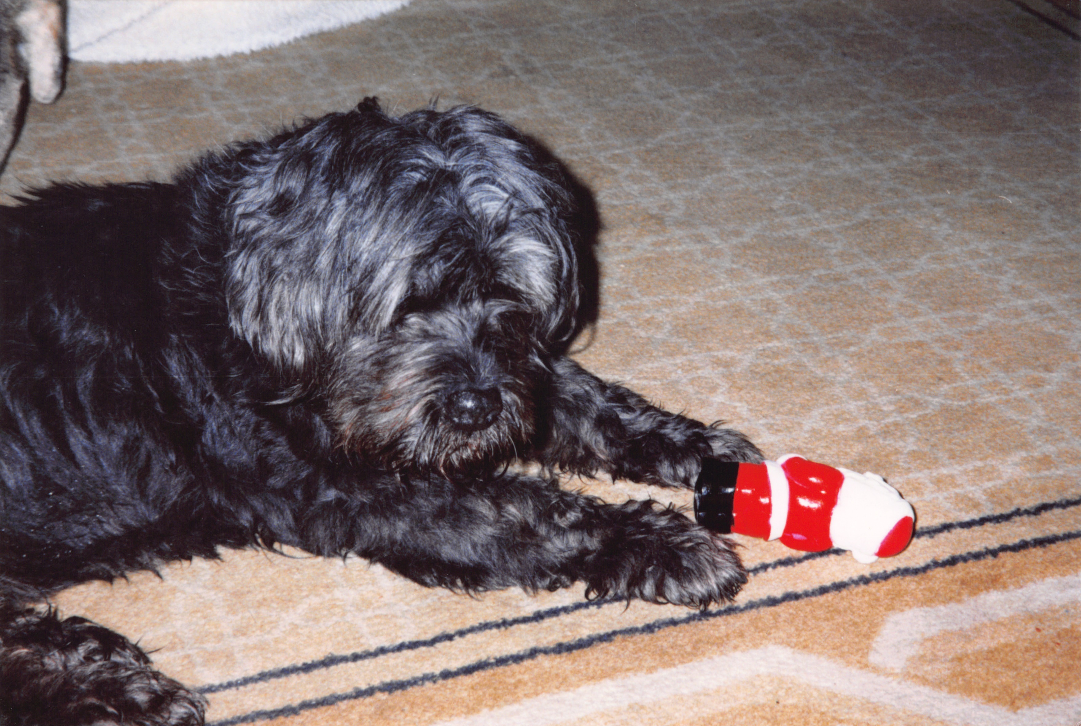 1999_098.jpg