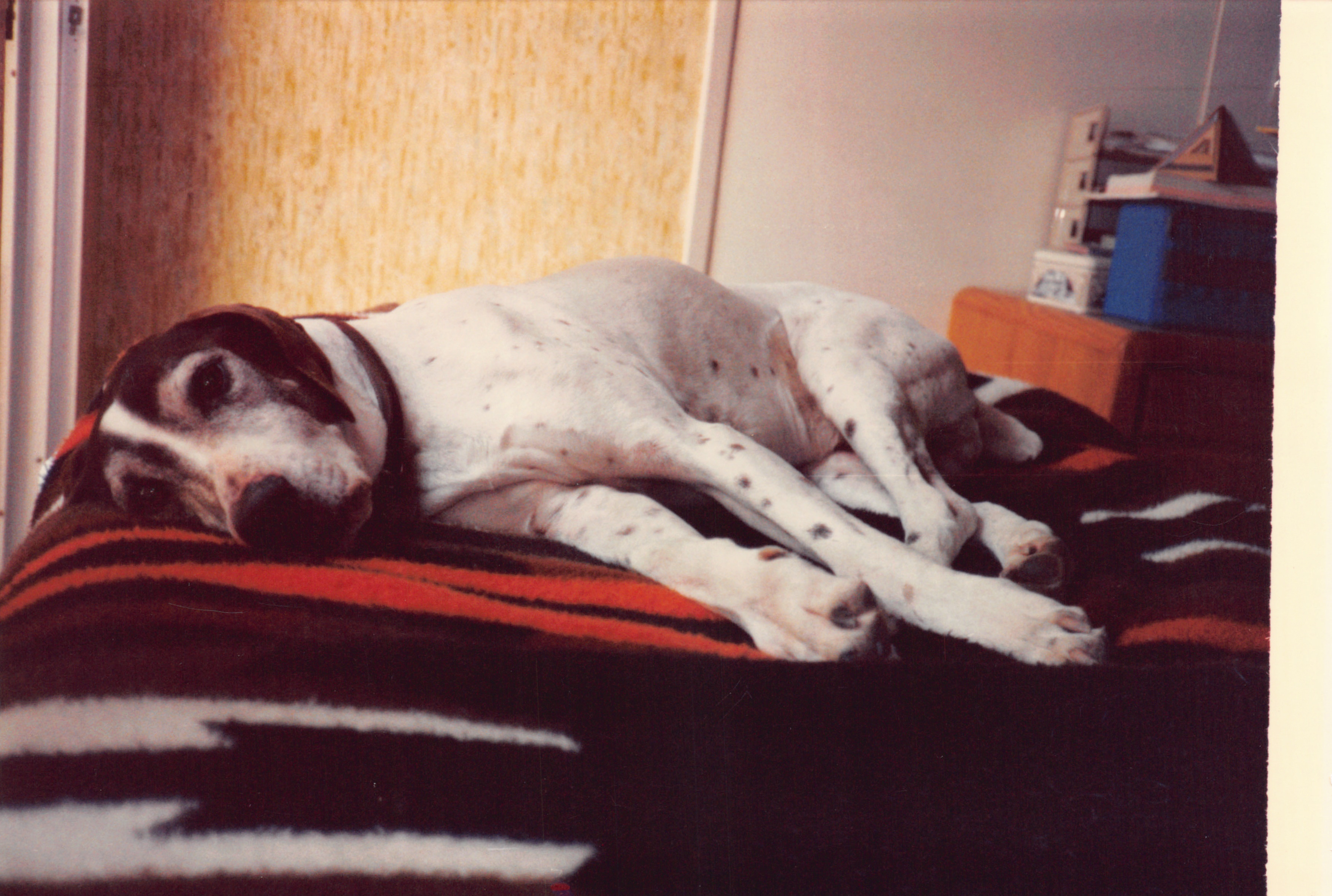 1999_110.jpg