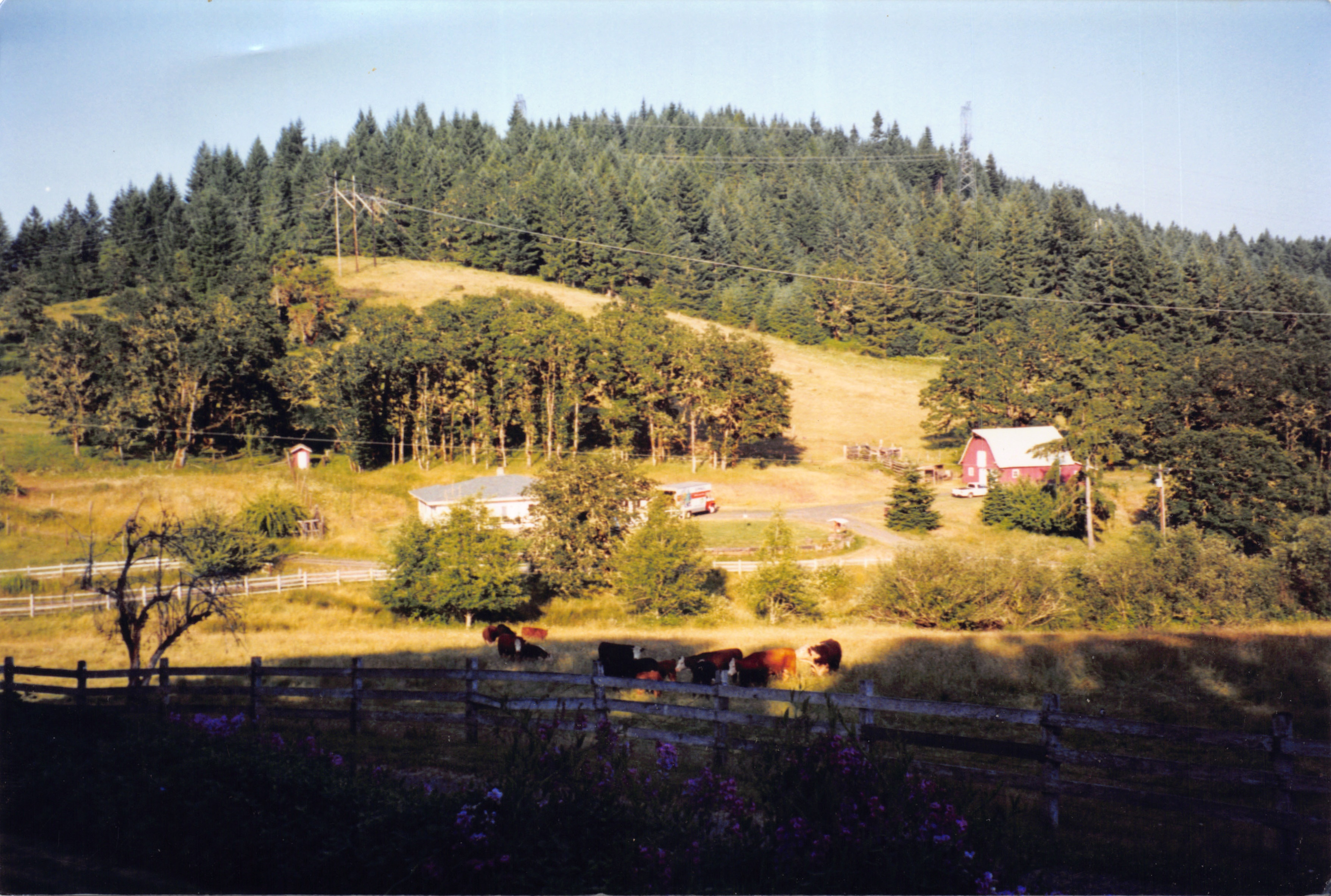 1999_256.jpg
