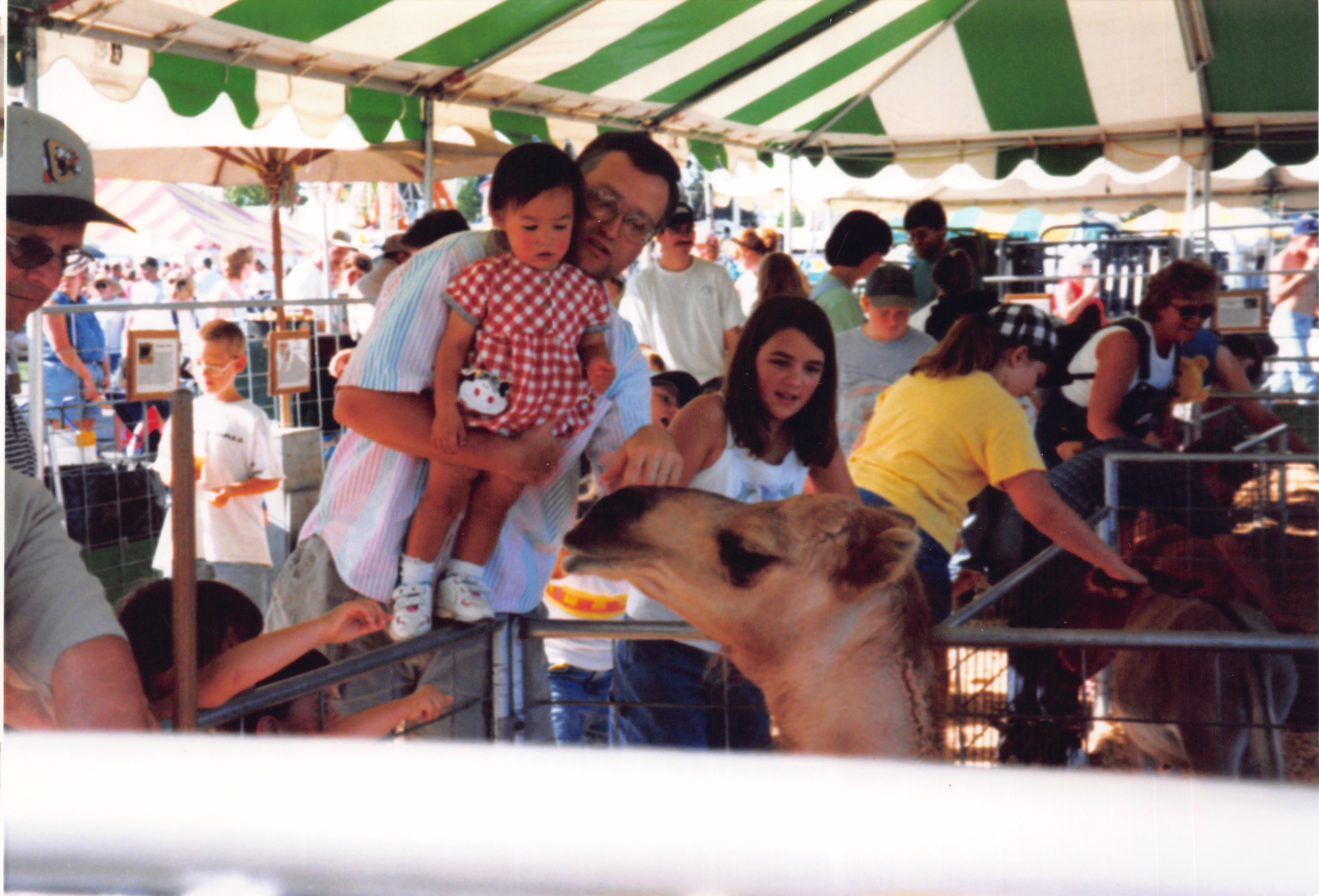 1999_278.jpg