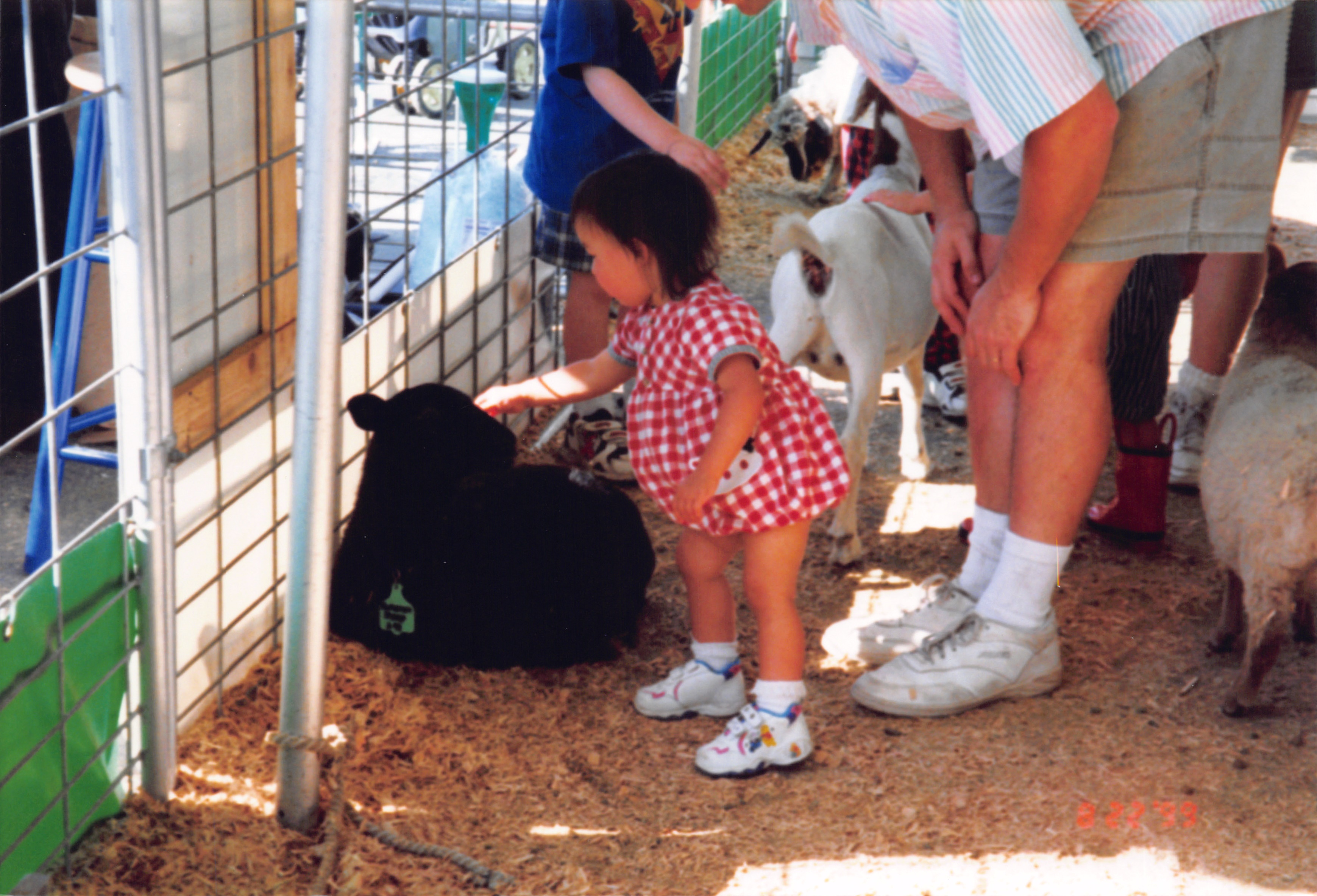 1999_280.jpg