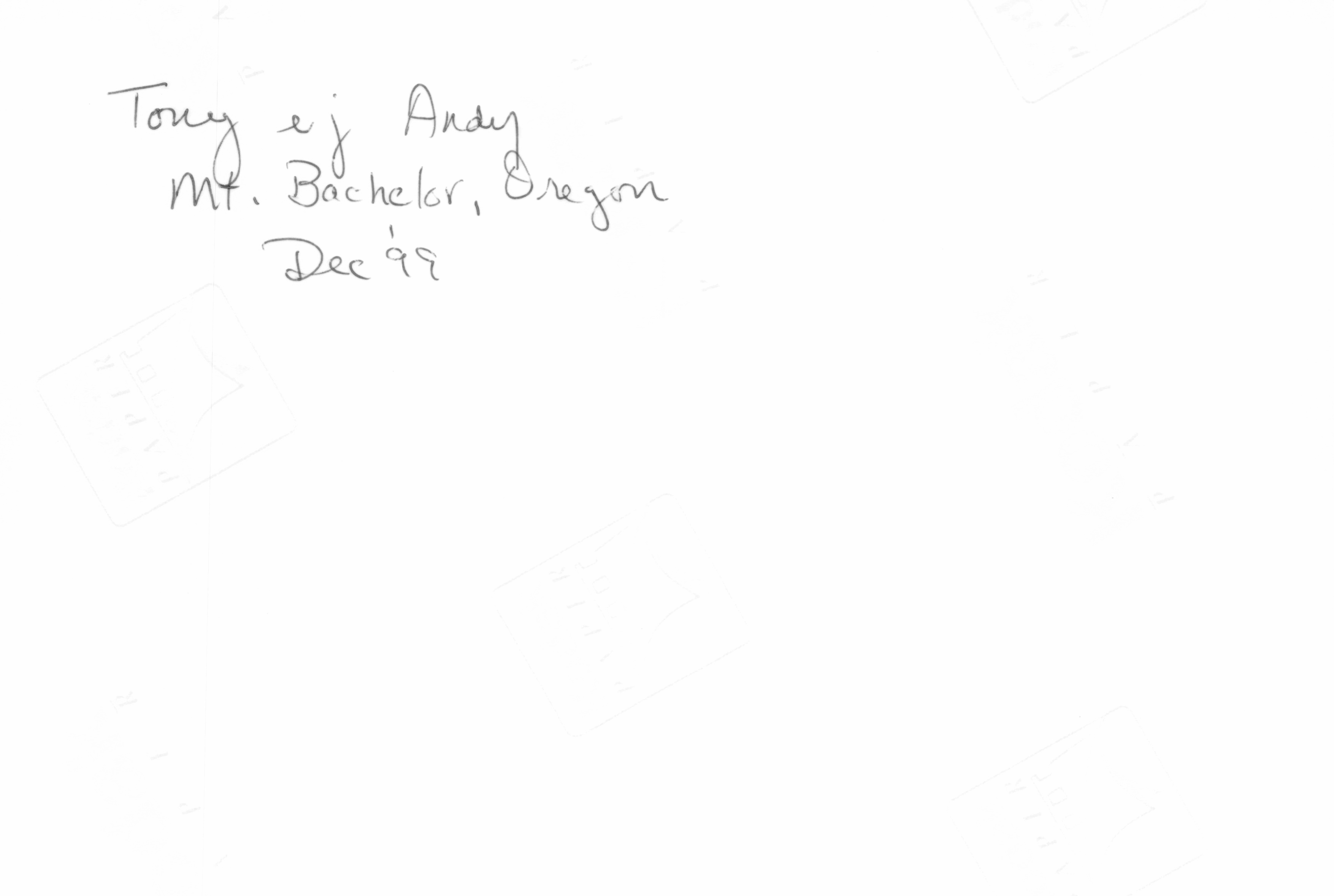 1999_341.jpg