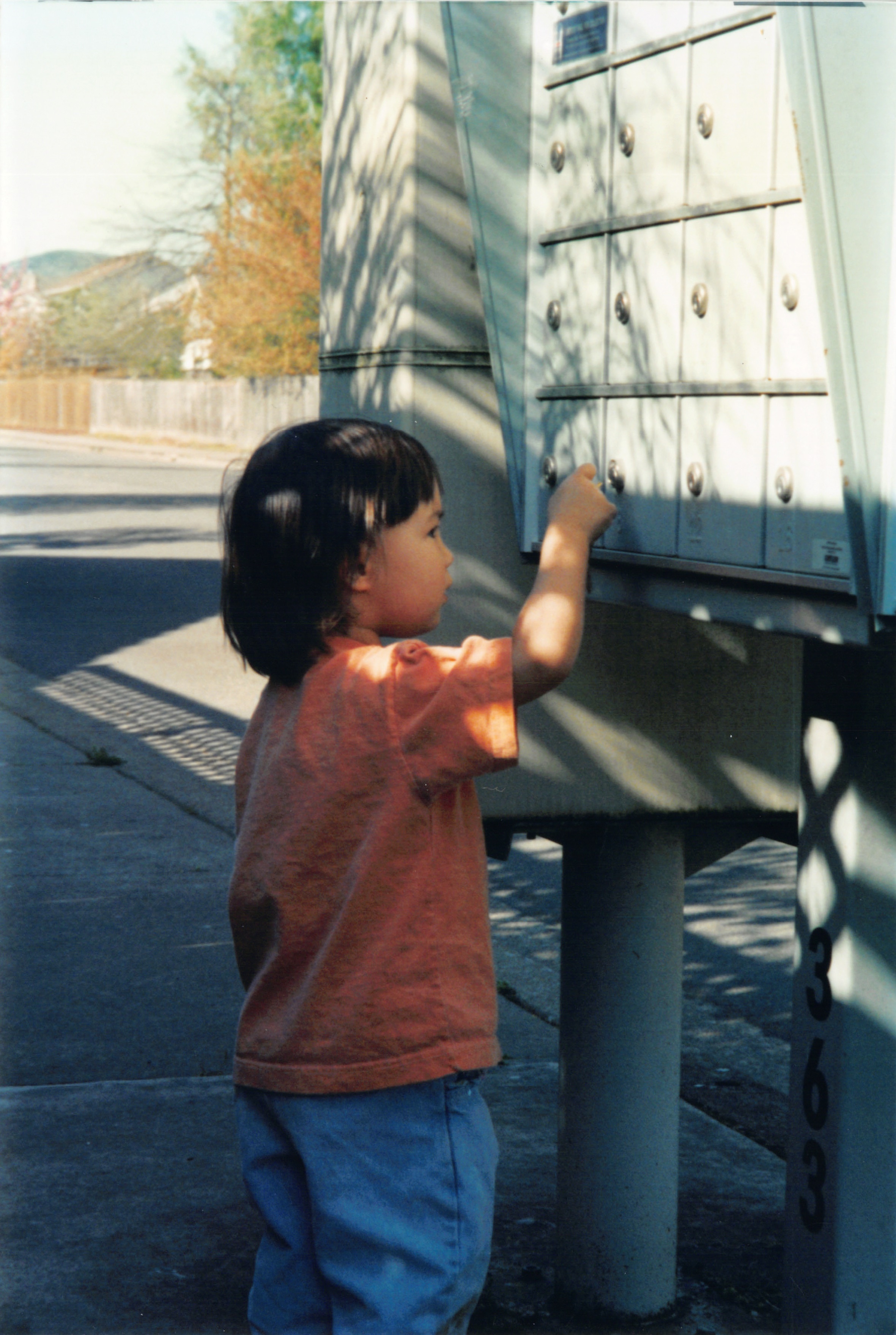 2000_28.jpg
