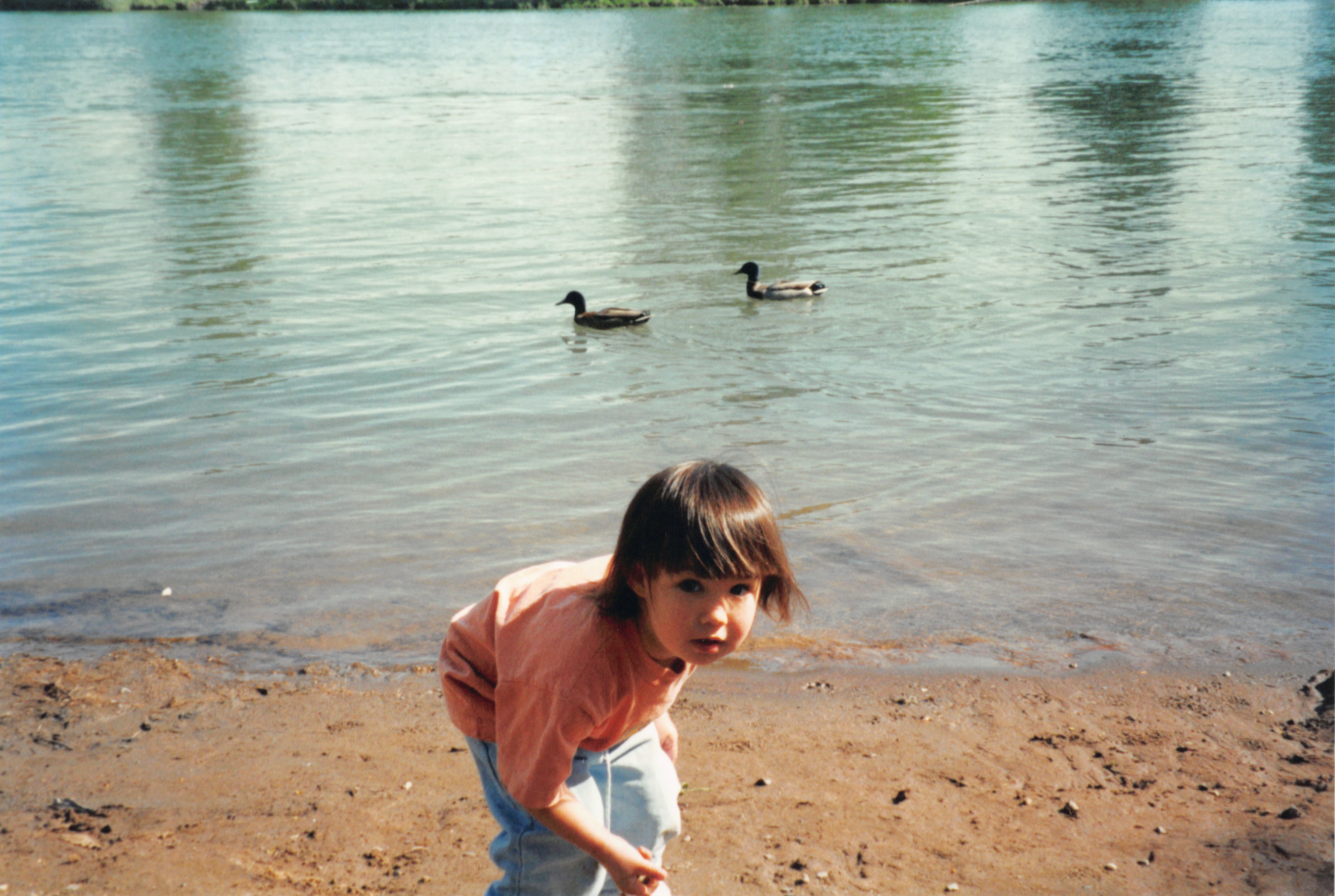 2000_35.jpg