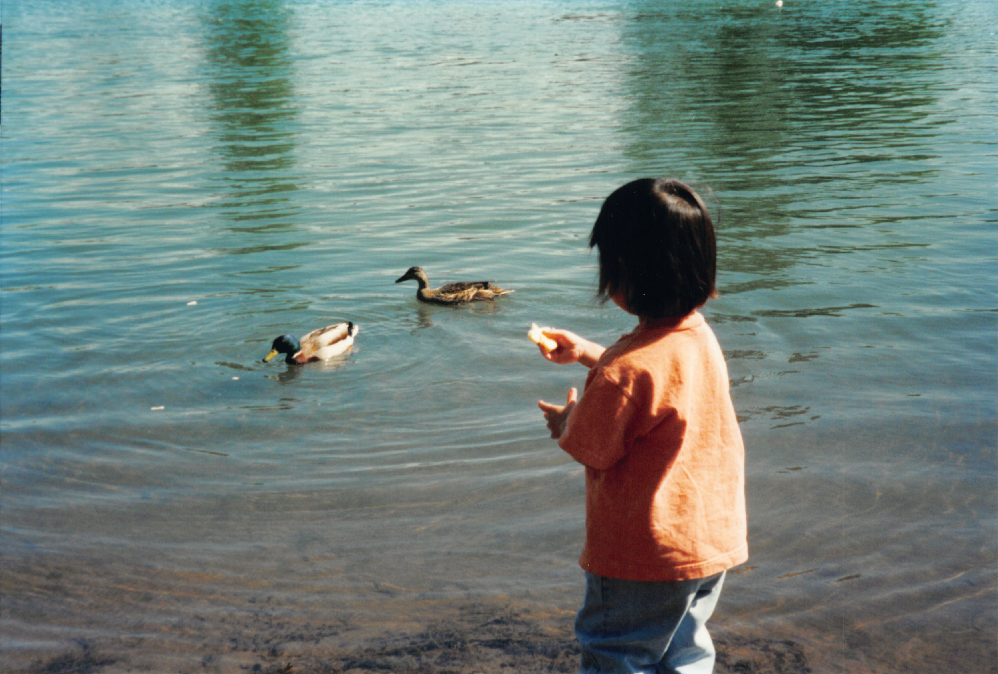 2000_37.jpg