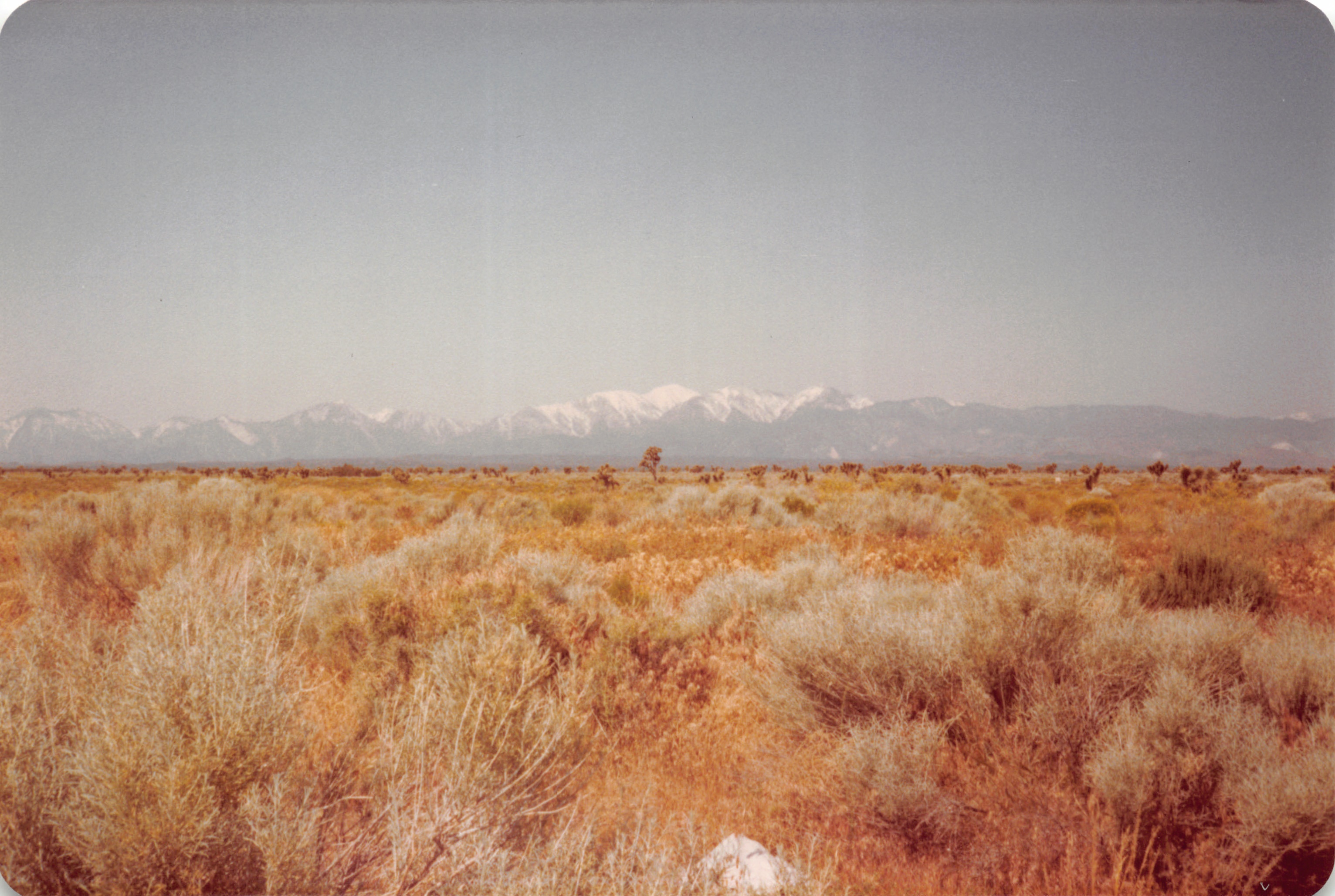 1983_02.jpg